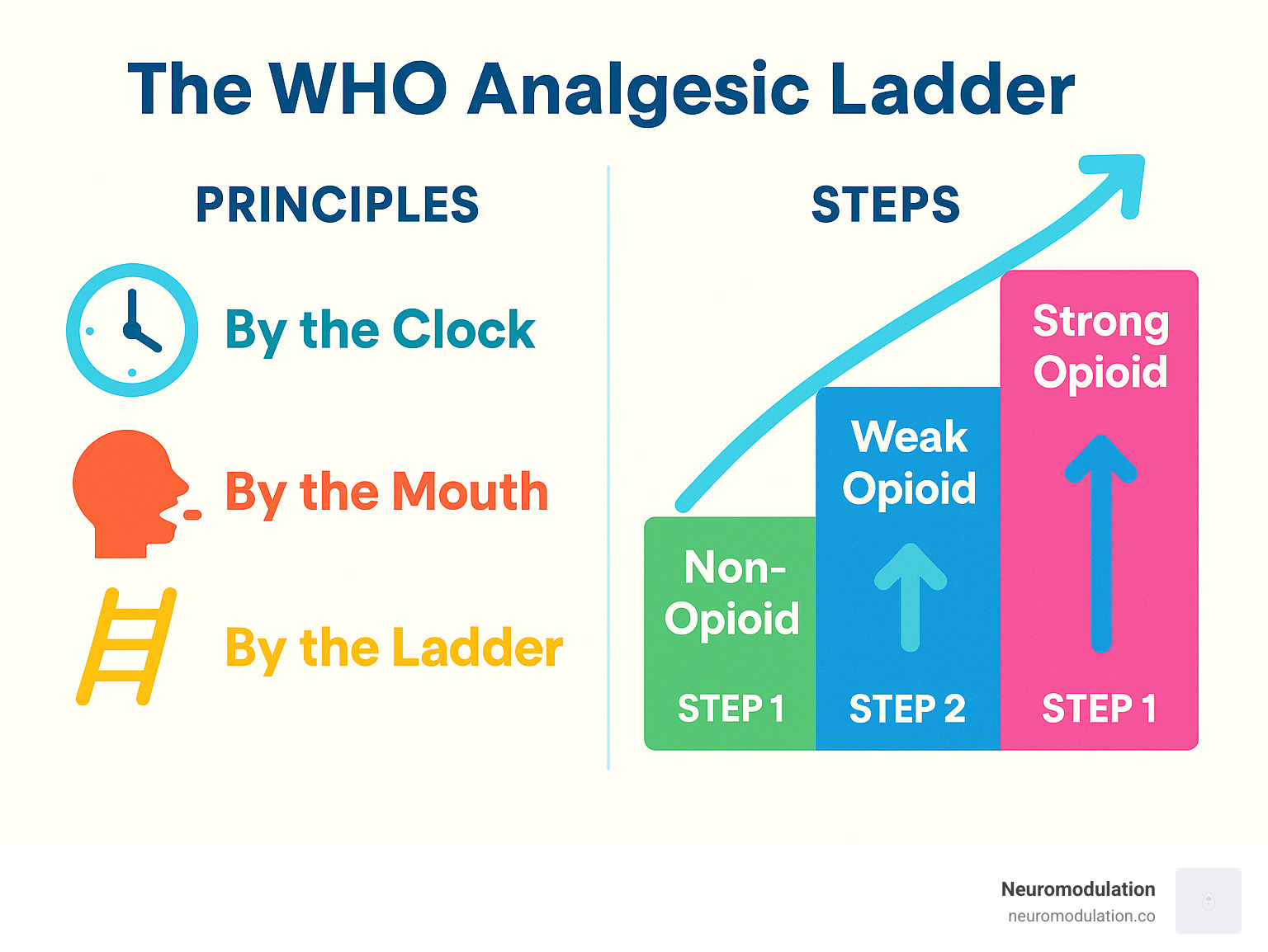 Detailed infographic showing the WHO Analgesic Ladder's three steps (non-opioid, weak opioid, strong opioid) and its core principles (by the clock, by the mouth, by the ladder) - who pain management algorithm infographic Detailed infographic showing the WHO Analgesic Ladder's three steps (non-opioid, weak opioid, strong opioid) and its core principles (by the clock, by the mouth, by the ladder) - who pain management algorithm infographic