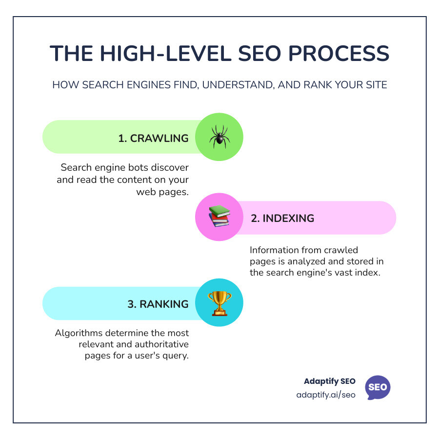 infographic explaining the high-level process of SEO from crawling to ranking - what is search engine optimization infographic infographic-line-3-steps-colors
