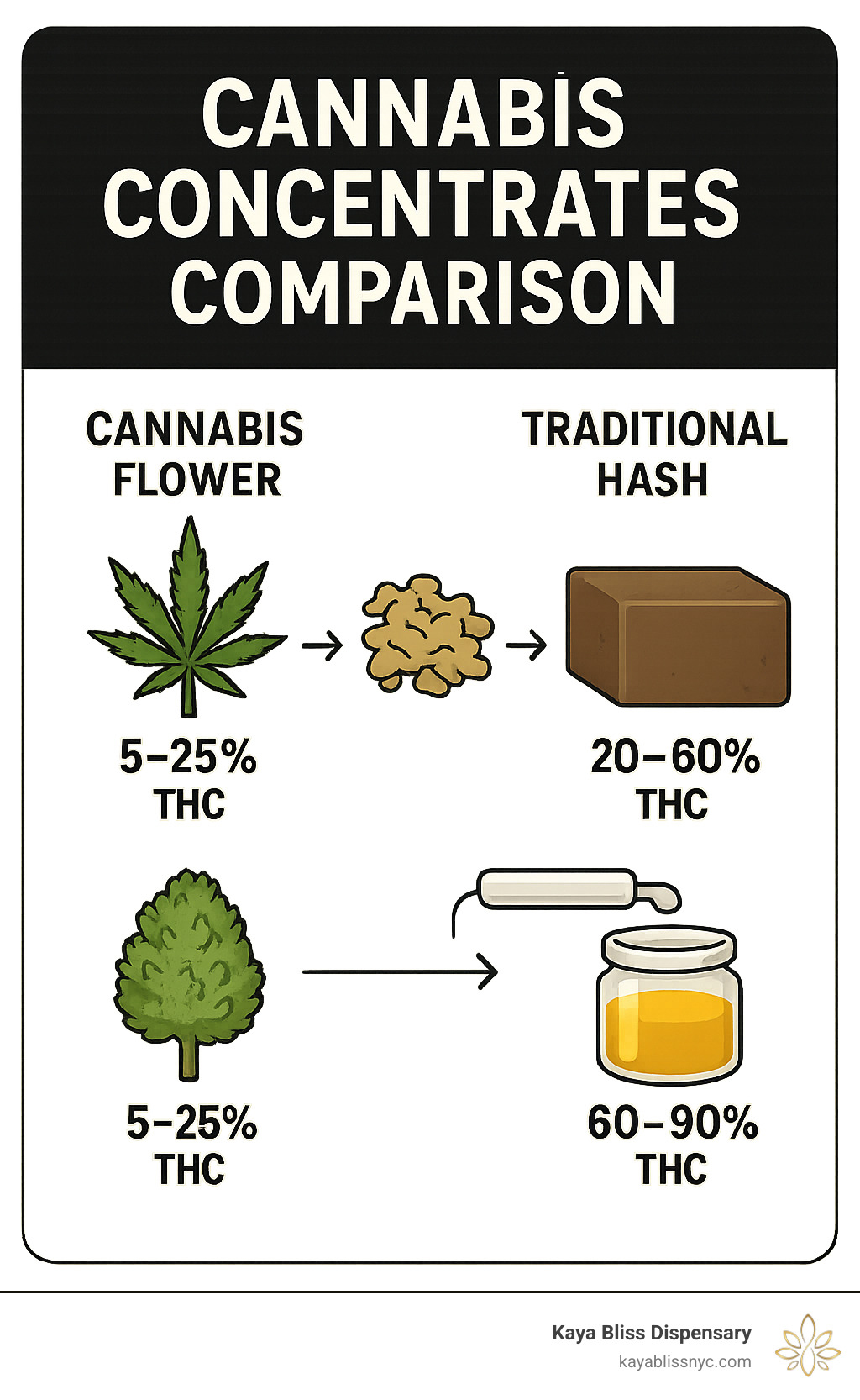 Infographic showing the key differences between cannabis flower (5-25% THC), traditional hash (20-60% THC), and hash oil concentrates (60-90% THC), with visual representations of extraction methods from plant material to final concentrated products - hash oil for sale infographic 