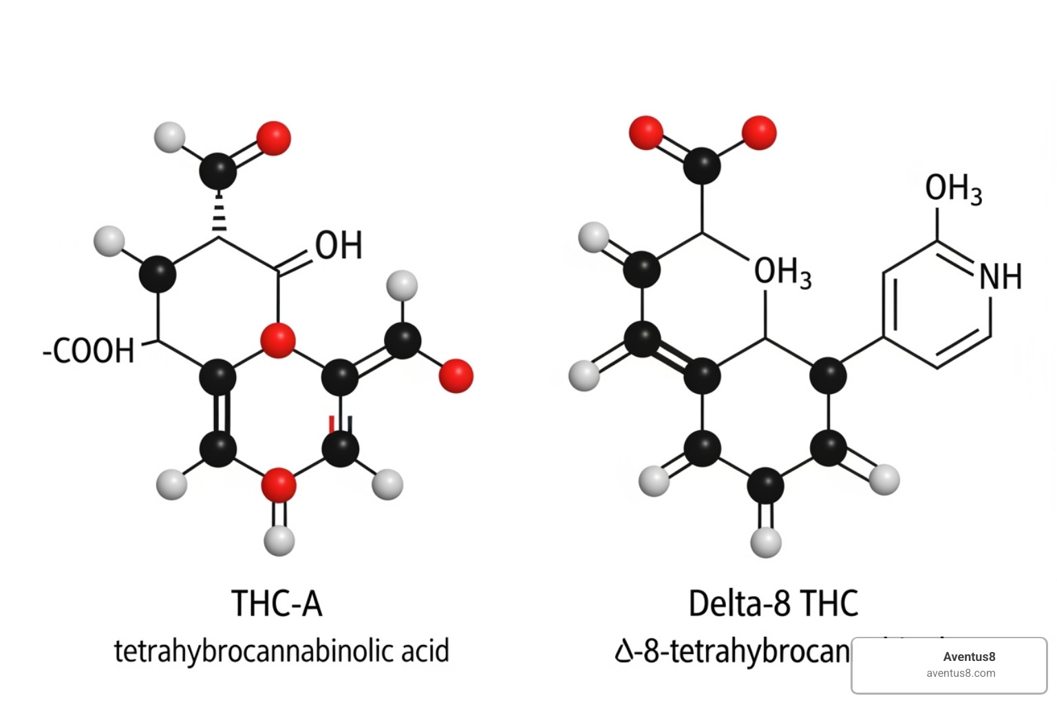 A molecular structure diagram for THC-A and Delta-8 THC - cheap thc disposable vapes