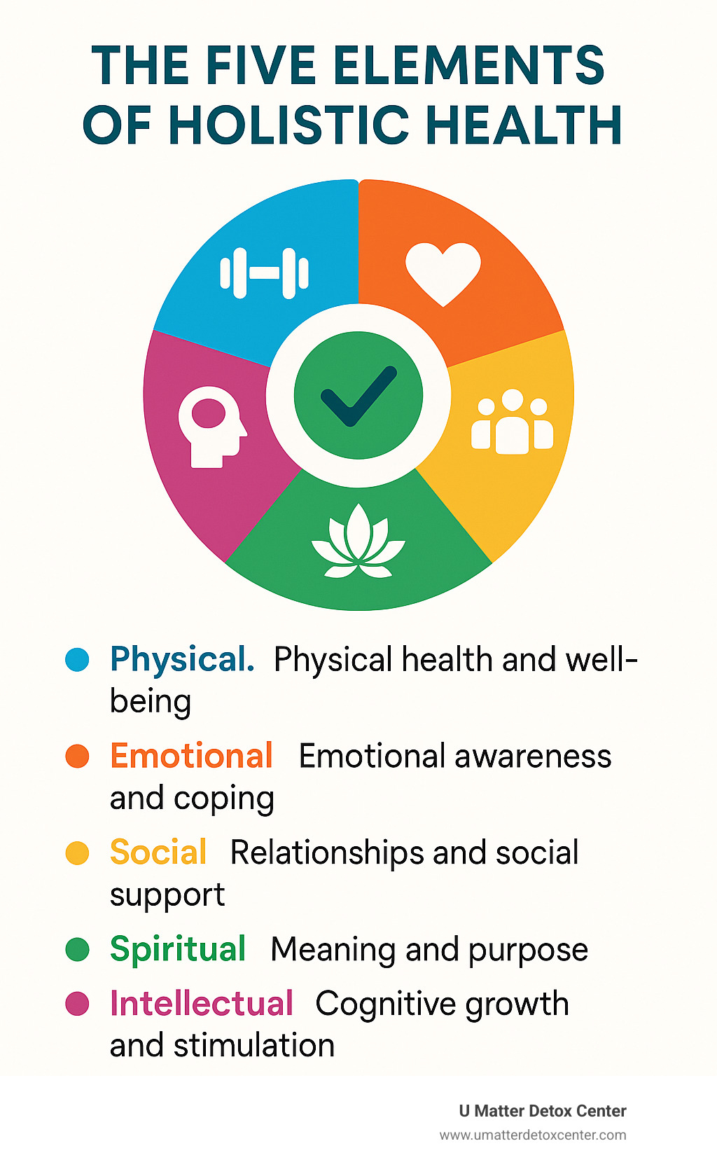 Infographic explaining the five elements of holistic health: physical, emotional, social, spiritual, and intellectual - holistic rehab infographic 