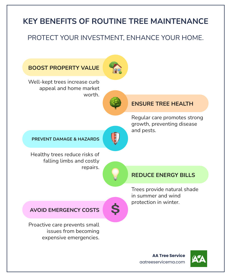 Infographic detailing the key benefits of routine tree maintenance, including increased property value, improved safety, improved tree health, and reduced energy bills - Routine tree maintenance infographic infographic-line-5-steps-colors