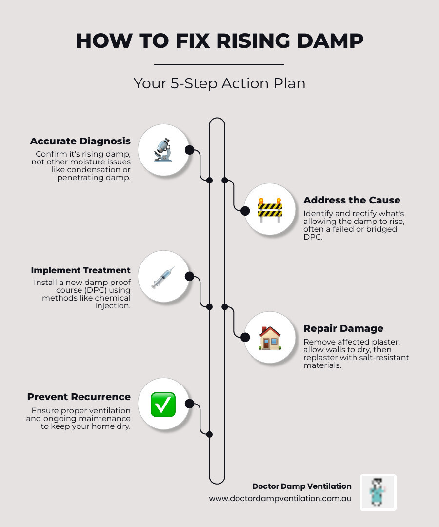 infographic showing key steps to fix rising damp with illustrations - how to fix rising damp infographic infographic-line-5-steps-neat_beige