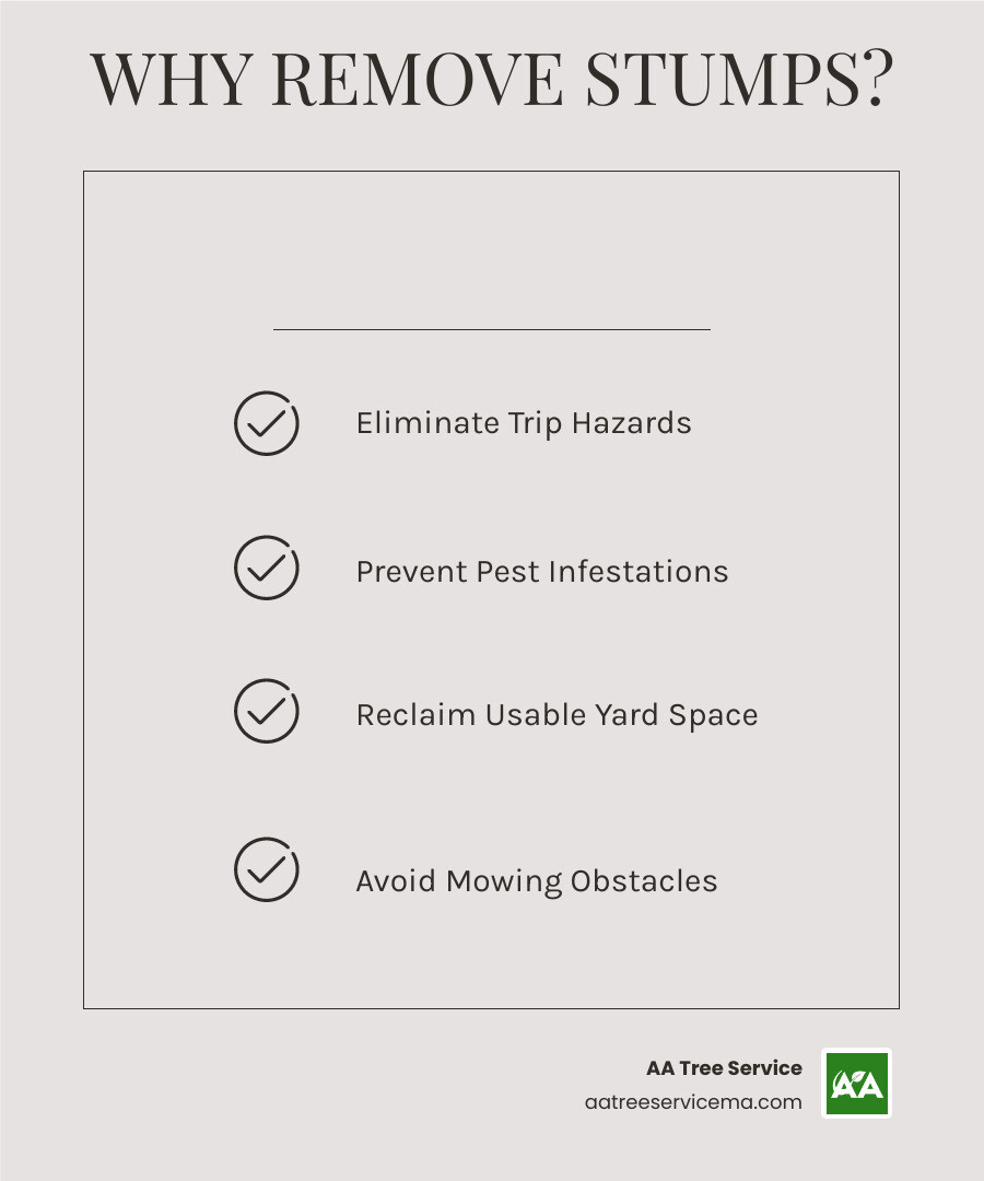 Infographic showing the top 5 reasons to remove tree stumps: safety hazards from tripping, pest infestations from termites and ants, mowing difficulties and equipment damage, wasted yard space for landscaping, and property value reduction from poor curb appeal - stump grinding manchester nh infographic checklist-light-beige