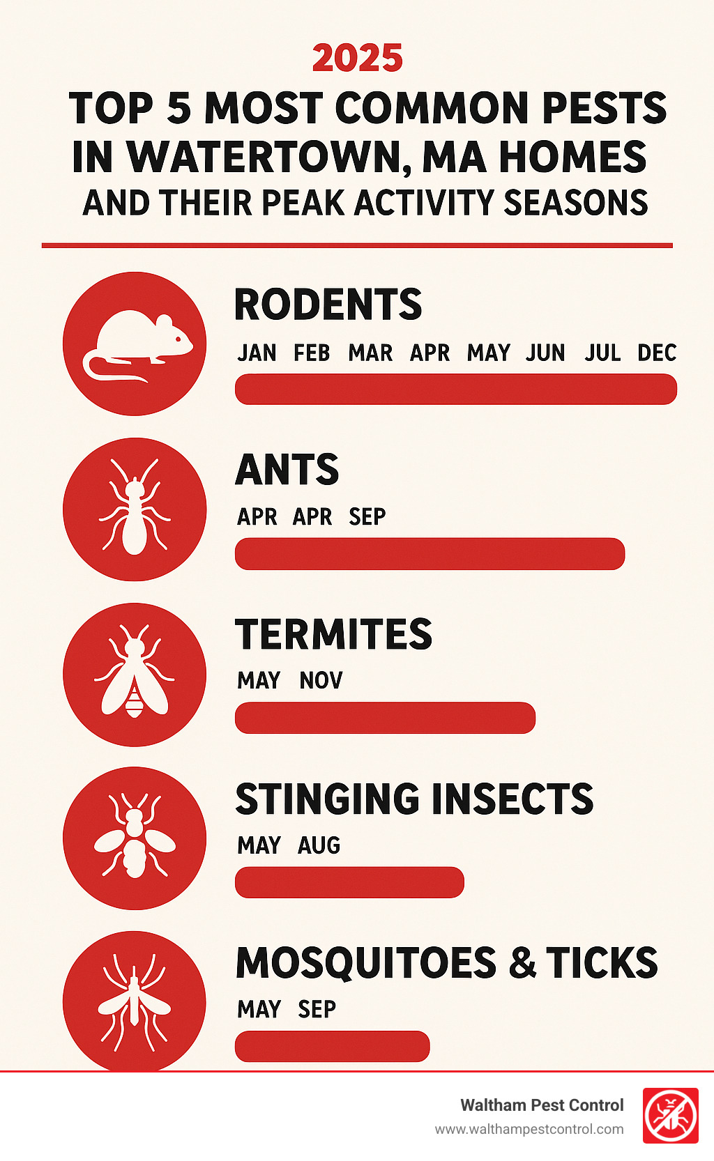 Infographic: Top 5 most common pests in Watertown, MA homes and their peak activity seasons - pest control watertown infographic 