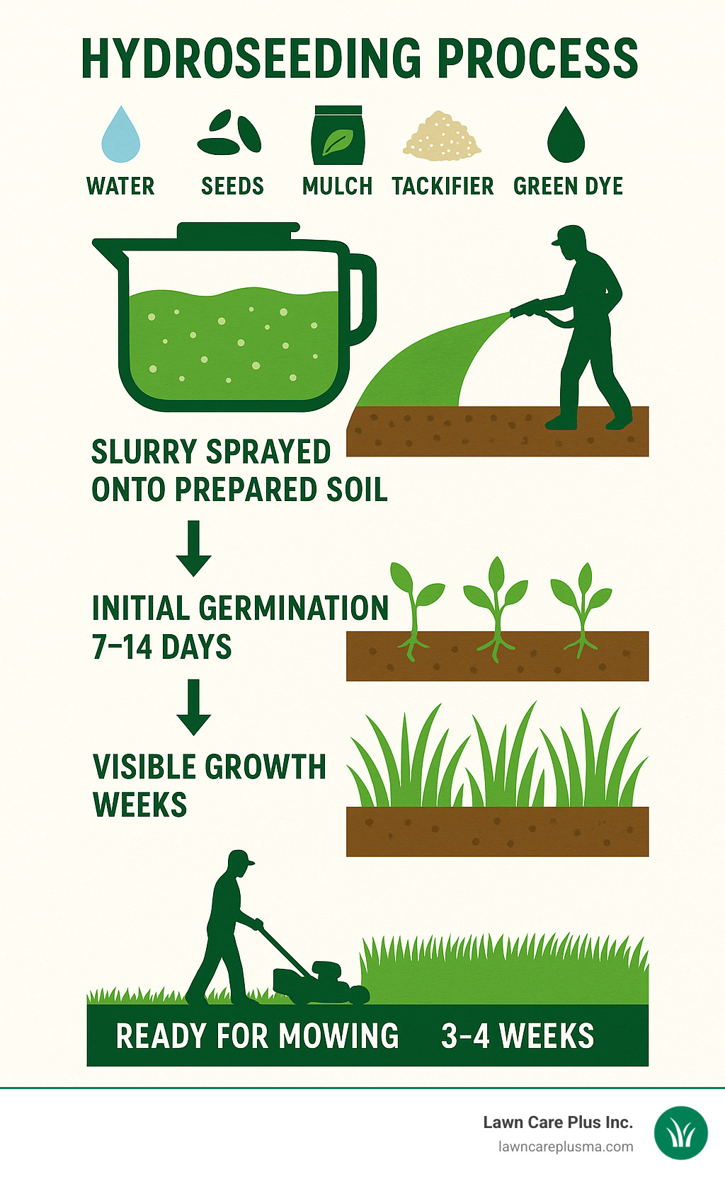 Infographic detailing the hydroseeding process from mixing the slurry (water, seed, mulch, fertilizer, tackifier, green dye) to spraying onto prepared soil, showing initial germination within 7-14 days, visible growth within weeks, and a lush green lawn ready for mowing in 3-4 weeks. - hydo seeding infographic 