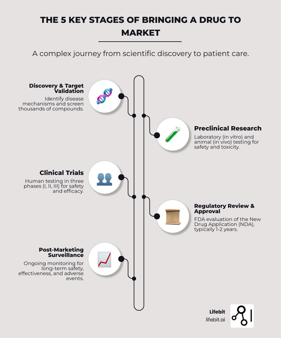Infographic showing the complete drug findy and development pipeline from laboratory research through target identification, preclinical testing, three phases of clinical trials, regulatory approval, and post-market surveillance, with timeline markers showing 12-15 years total duration and $2.8 billion investment - drug findy and development infographic infographic-line-5-steps-neat_beige