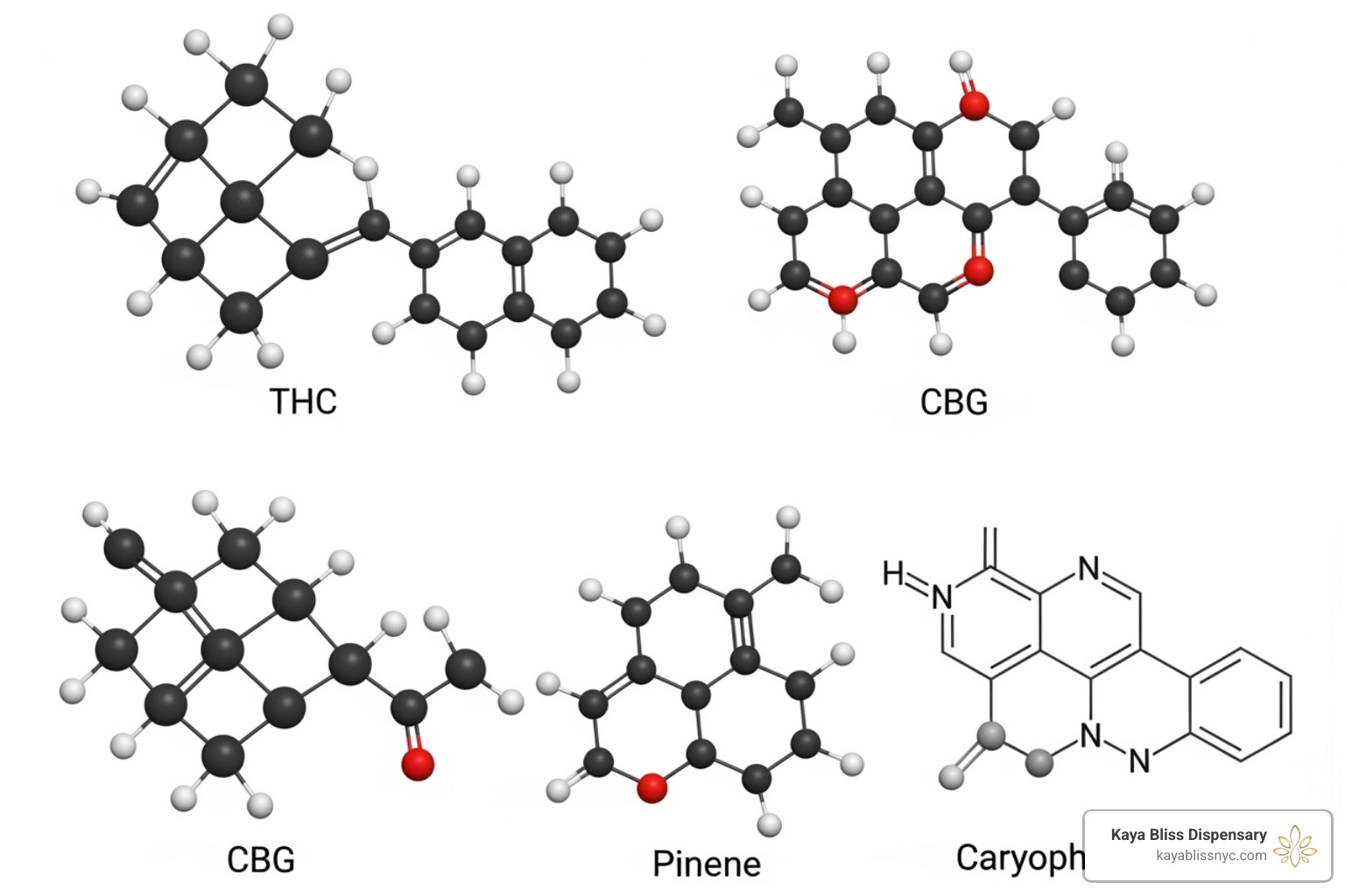Terpene and cannabinoid molecular structure graphic - cannabis flower strains