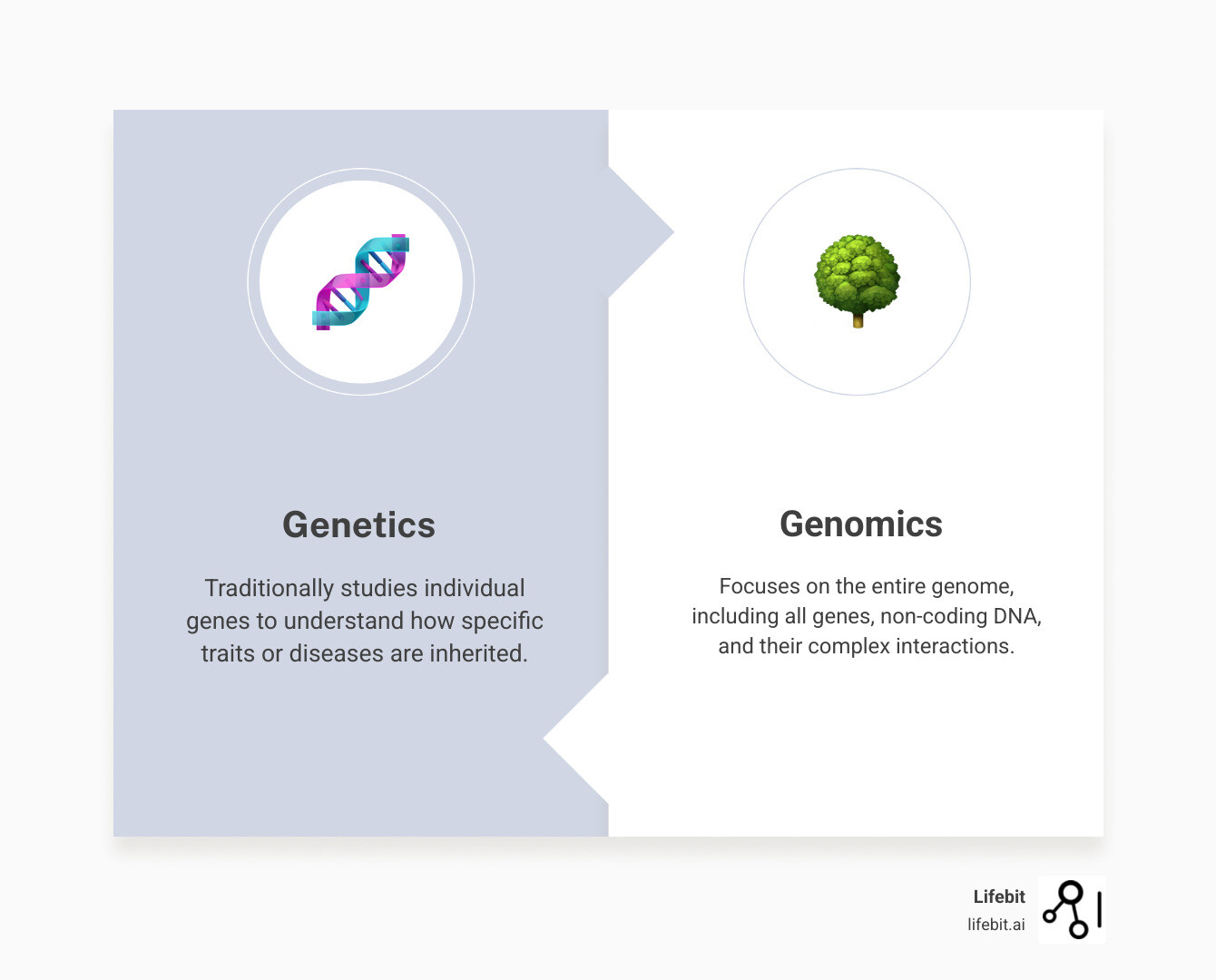 Infographic explaining the difference between genetics and genomics - genomics infographic comparison-2-items-formal