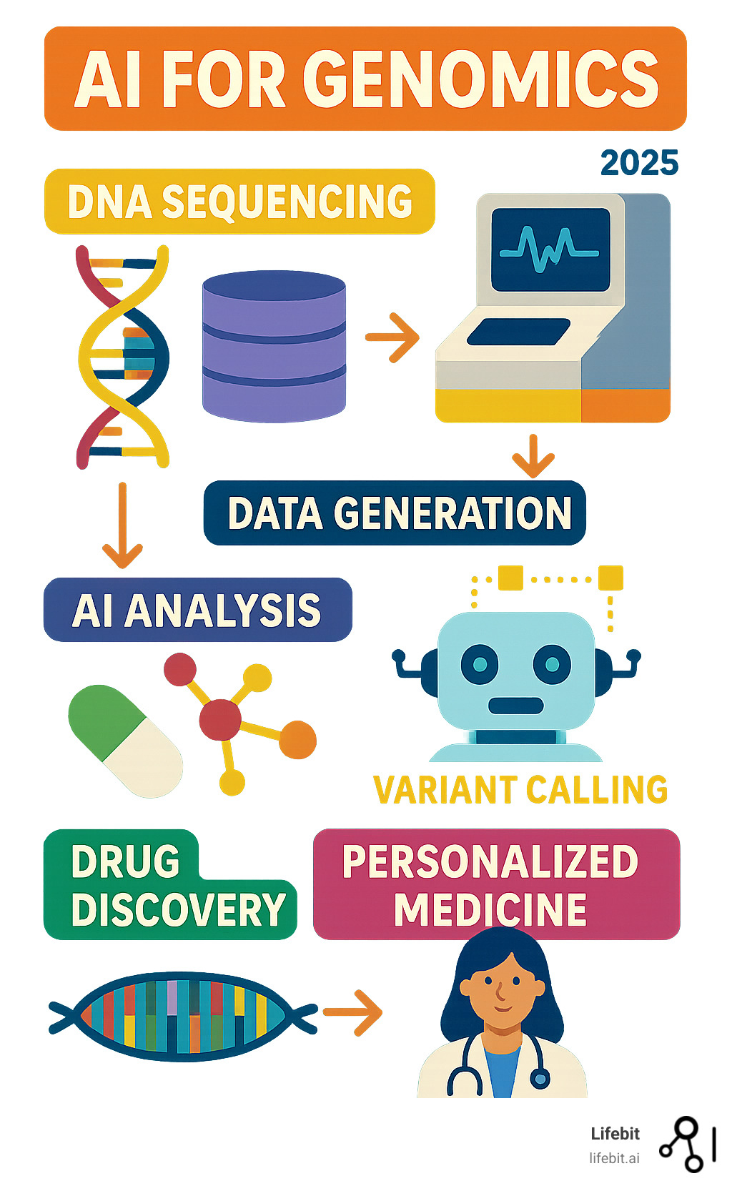 Infographic showing the flow from DNA sequencing to AI-driven insights, detailing steps like data generation, AI analysis for variant calling, drug findy, and personalized medicine outcomes - AI for Genomics infographic 