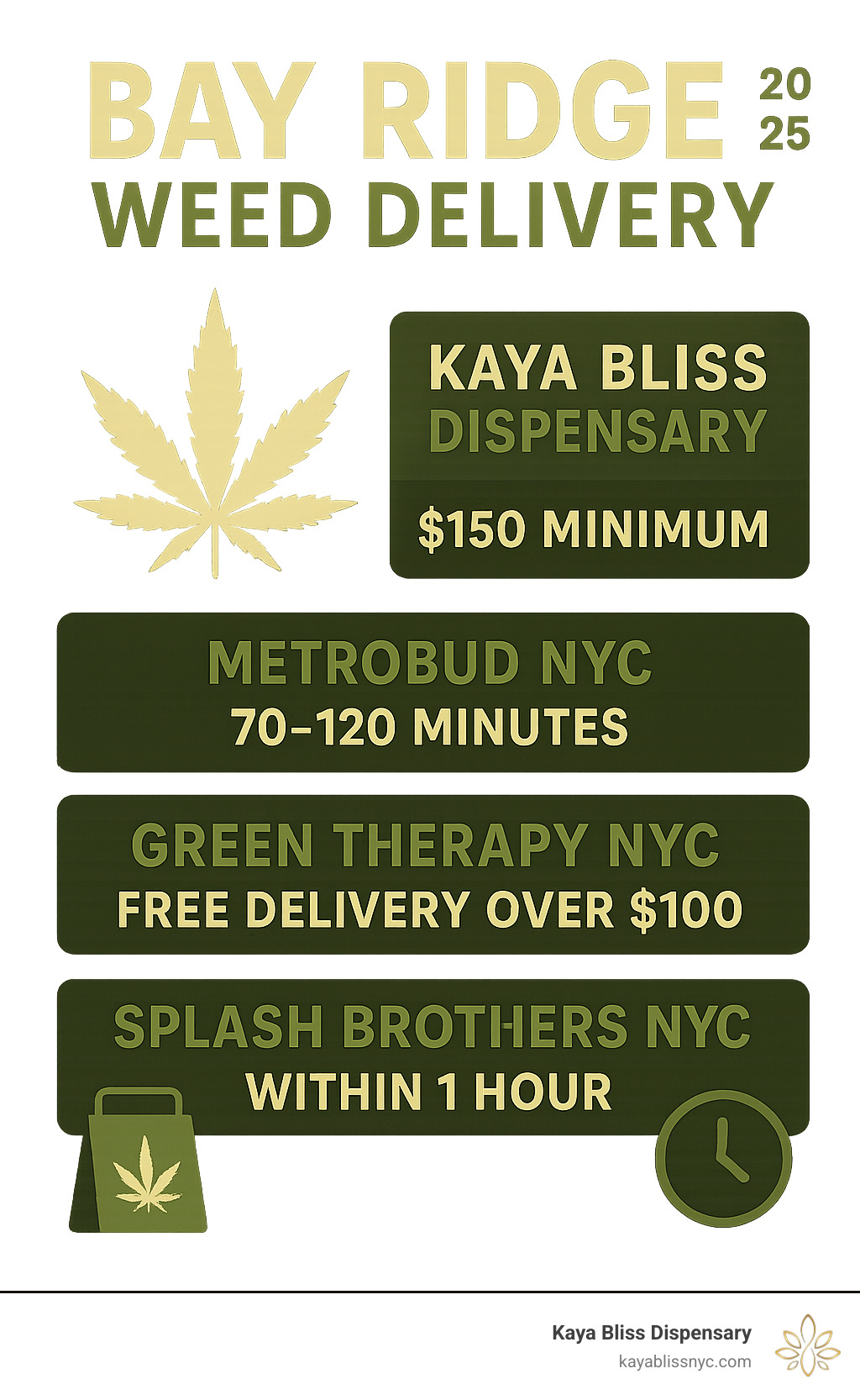 Infographic detailing various Bay Ridge weed delivery options, their minimums, and typical delivery times - bay ridge weed delivery infographic 