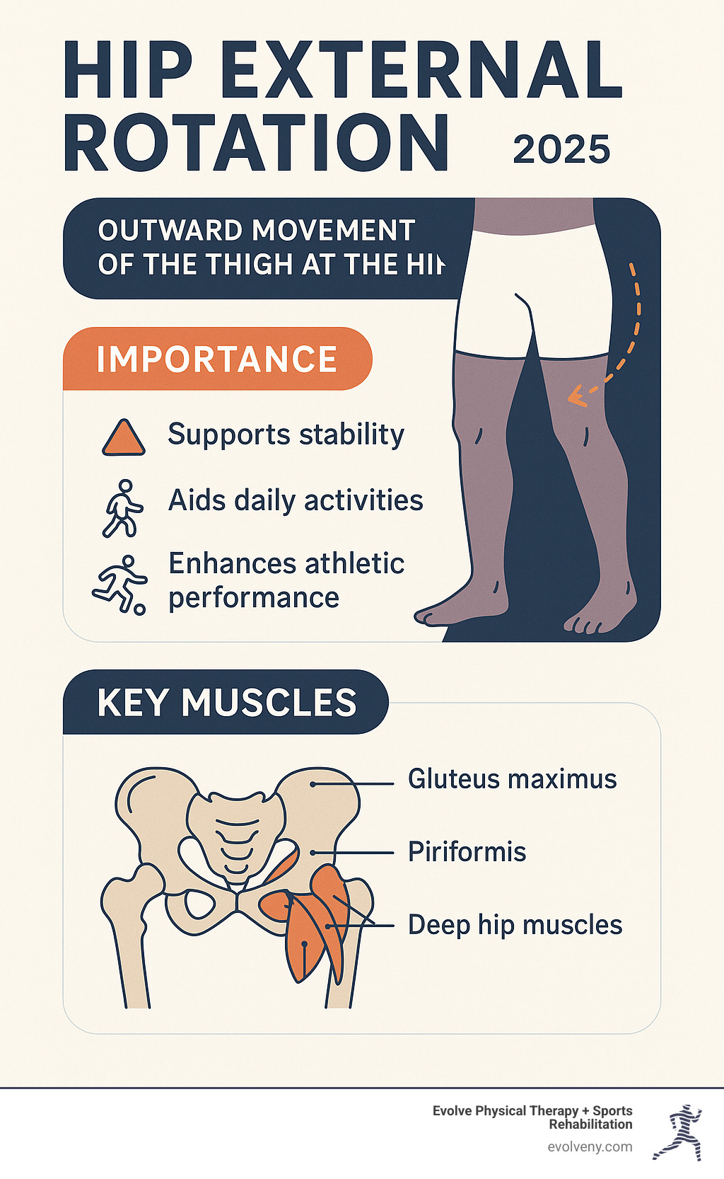 Detailed infographic explaining hip external rotation as the outward movement of the thigh at the hip, highlighting its importance for stability, daily activities, and athletic performance, and listing key muscles involved - hip external rotation mobility infographic 