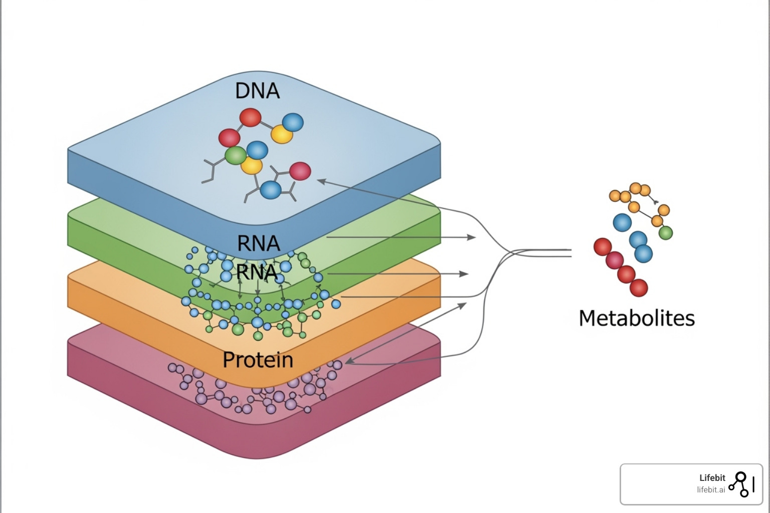 Illustration showing various layers of biological information, from DNA (genomics) to RNA (transcriptomics), proteins (proteomics), and metabolites (metabolomics), along with arrows indicating their relationships and the flow of information in a cell - 'omics