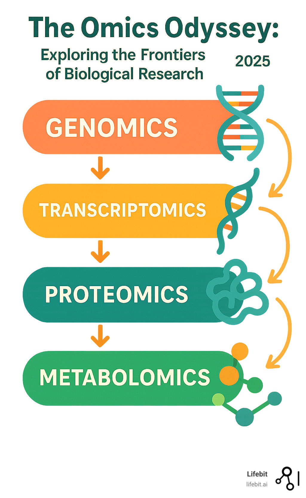 Comprehensive infographic showing the hierarchical relationship between major omics fields, starting with genomics at the DNA level, progressing through transcriptomics (RNA), proteomics (proteins), and metabolomics (small molecules), with arrows indicating the flow of biological information and interconnections between each omics layer - 'omics infographic 