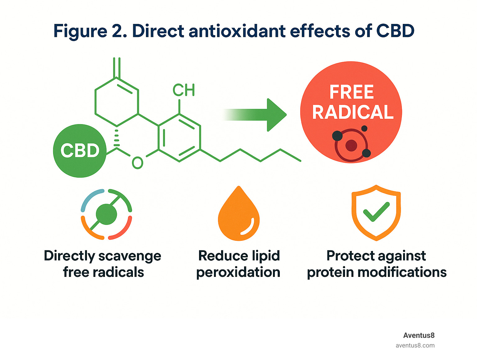 Figure 2.Direct antioxidant effects of CBD - cbd benefits infographic 