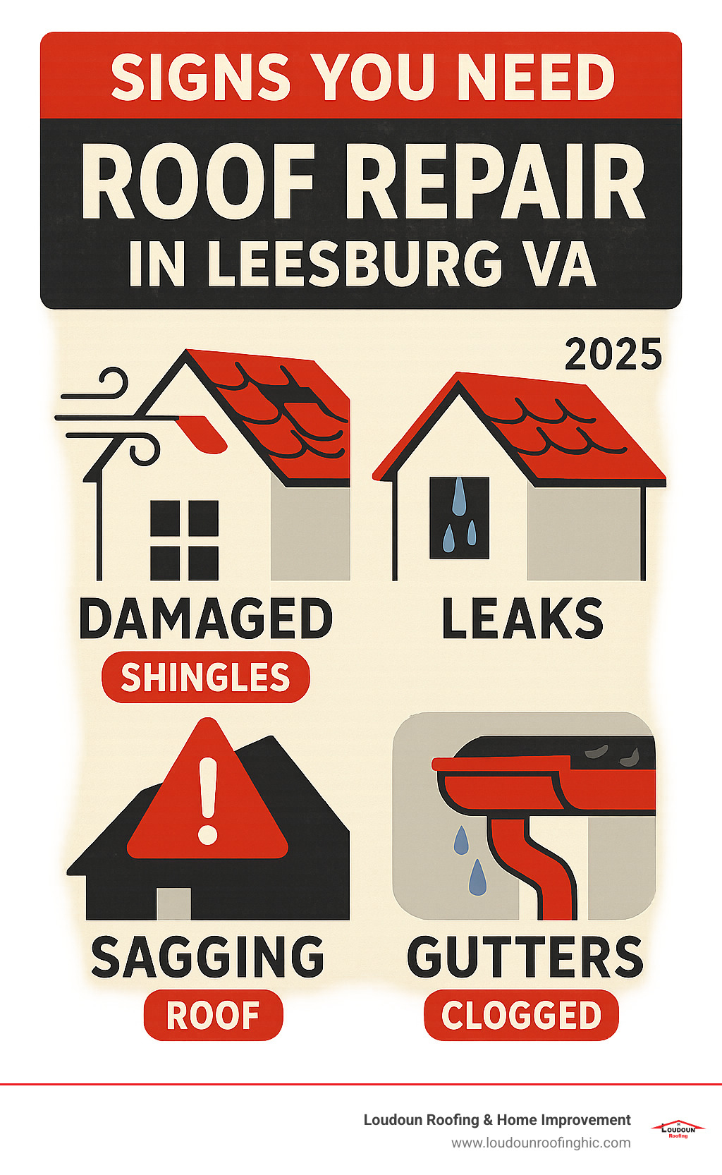 Infographic detailing signs you need roof repair in Leesburg VA - roof repair Leesburg VA infographic 