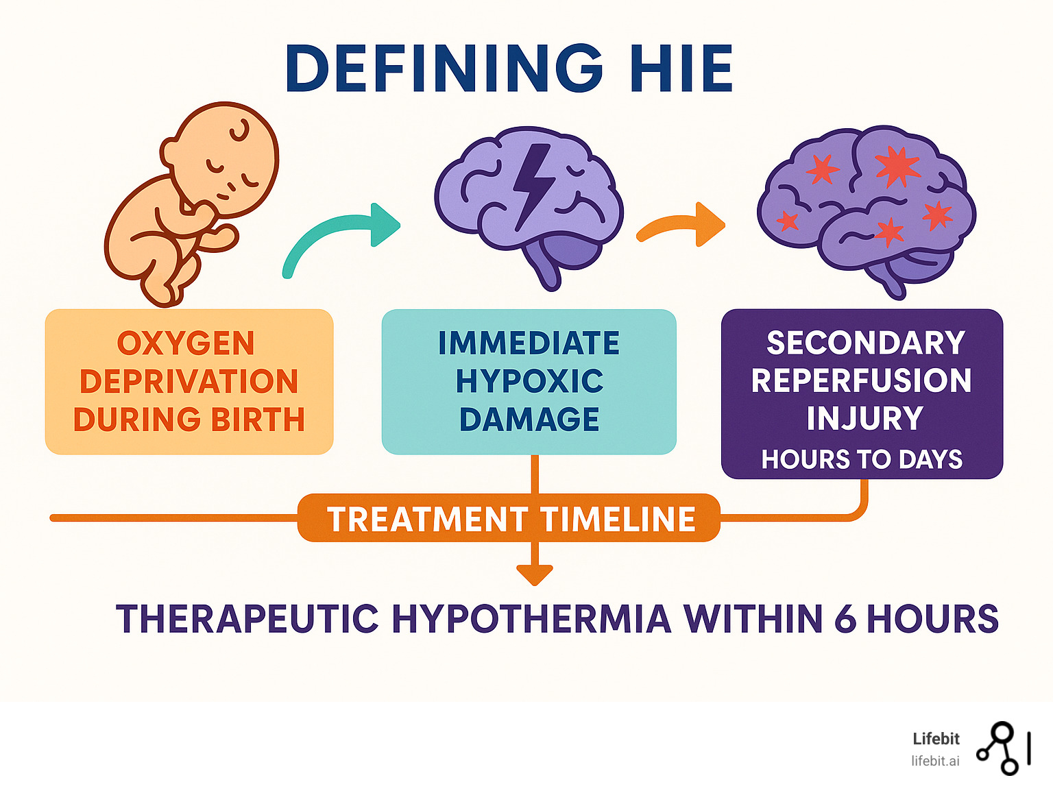Infographic showing the progression from oxygen deprivation during birth to HIE brain injury, including immediate hypoxic damage and secondary reperfusion injury occurring over hours to days, with treatment timeline showing therapeutic hypothermia must begin within 6 hours - define hie infographic 