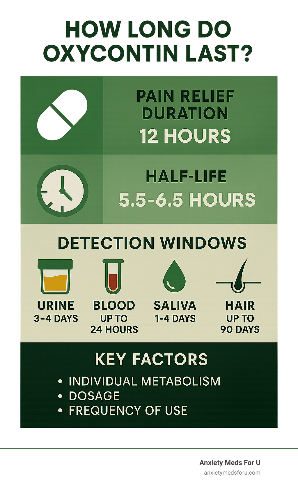 Infographic summarizing OxyContin's pain relief duration (12 hours), half-life (5.5-6.5 hours), and general detection windows in urine (3-4 days), blood (up to 24 hours), saliva (1-4 days), and hair (up to 90 days), highlighting key factors influencing these times such as individual metabolism, dosage, and frequency of use. - how long do oxycontin last infographic 