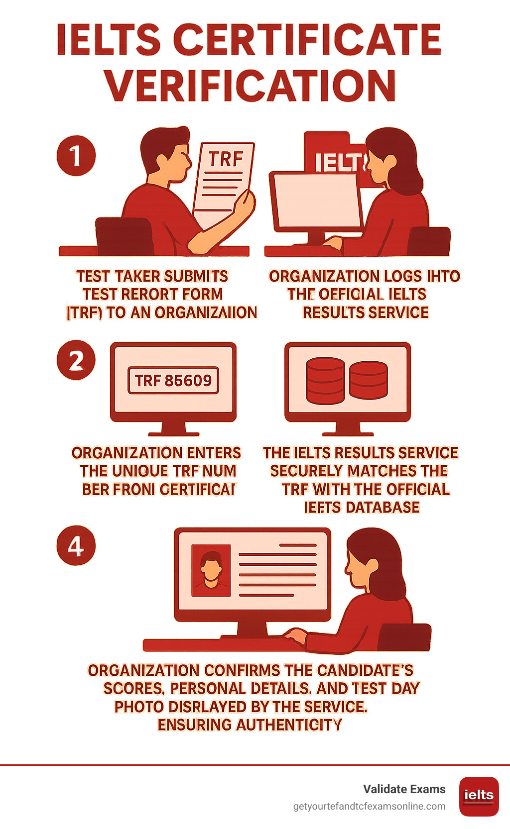 Infographic showing the steps for an organization to verify an IELTS certificate: 1. Test taker submits Test Report Form (TRF) to an organization. 2. Organization logs into the official IELTS Results Service. 3. Organization enters the unique TRF number from the certificate. 4. The IELTS Results Service securely matches the TRF with the official IELTS database. 5. Organization confirms the candidate's scores, personal details, and test-day photo displayed by the service, ensuring authenticity. - IELTS certificate verification infographic 