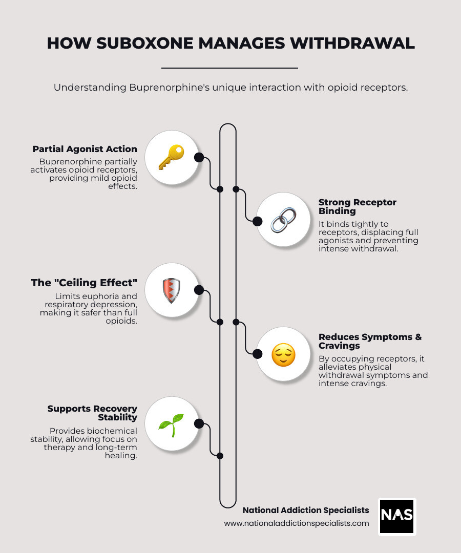 Infographic explaining how buprenorphine's partial agonist activity works on brain receptors compared to full agonists, illustrating receptor binding and ceiling effect to reduce withdrawal and prevent cravings - does suboxone help with withdrawal symptoms infographic infographic-line-5-steps-neat_beige