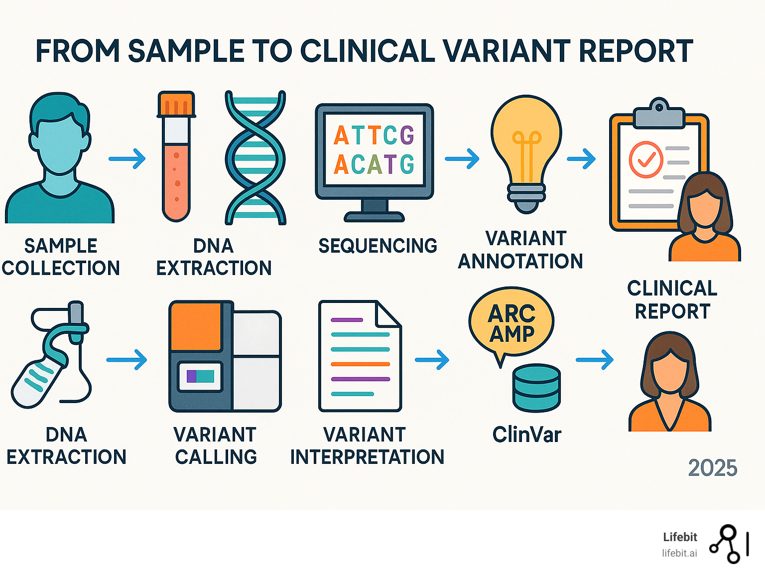 Infographic showing the journey from a patient sample to a clinical variant report, detailing steps like sample collection, DNA extraction, sequencing, variant calling, variant annotation, variant interpretation (using ACMG/AMP guidelines and databases like ClinVar), and finally, the clinical report and genetic counseling - clinical variant interpretation infographic 