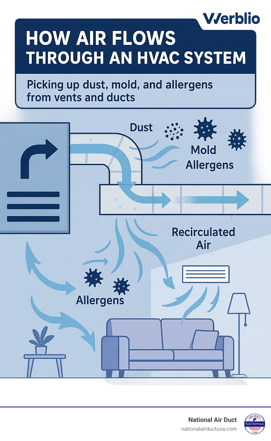 Infographic illustrating how air circulates through an HVAC system, picking up dust, mold, and allergens from vents and ducts before being recirculated into living spaces - ac vent disinfection infographic 
