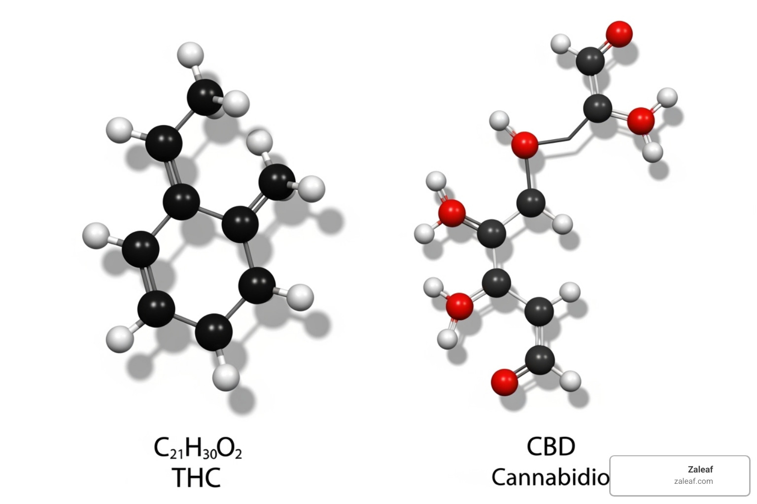 Image of THC and CBD molecular structures side-by-side - what is thc
