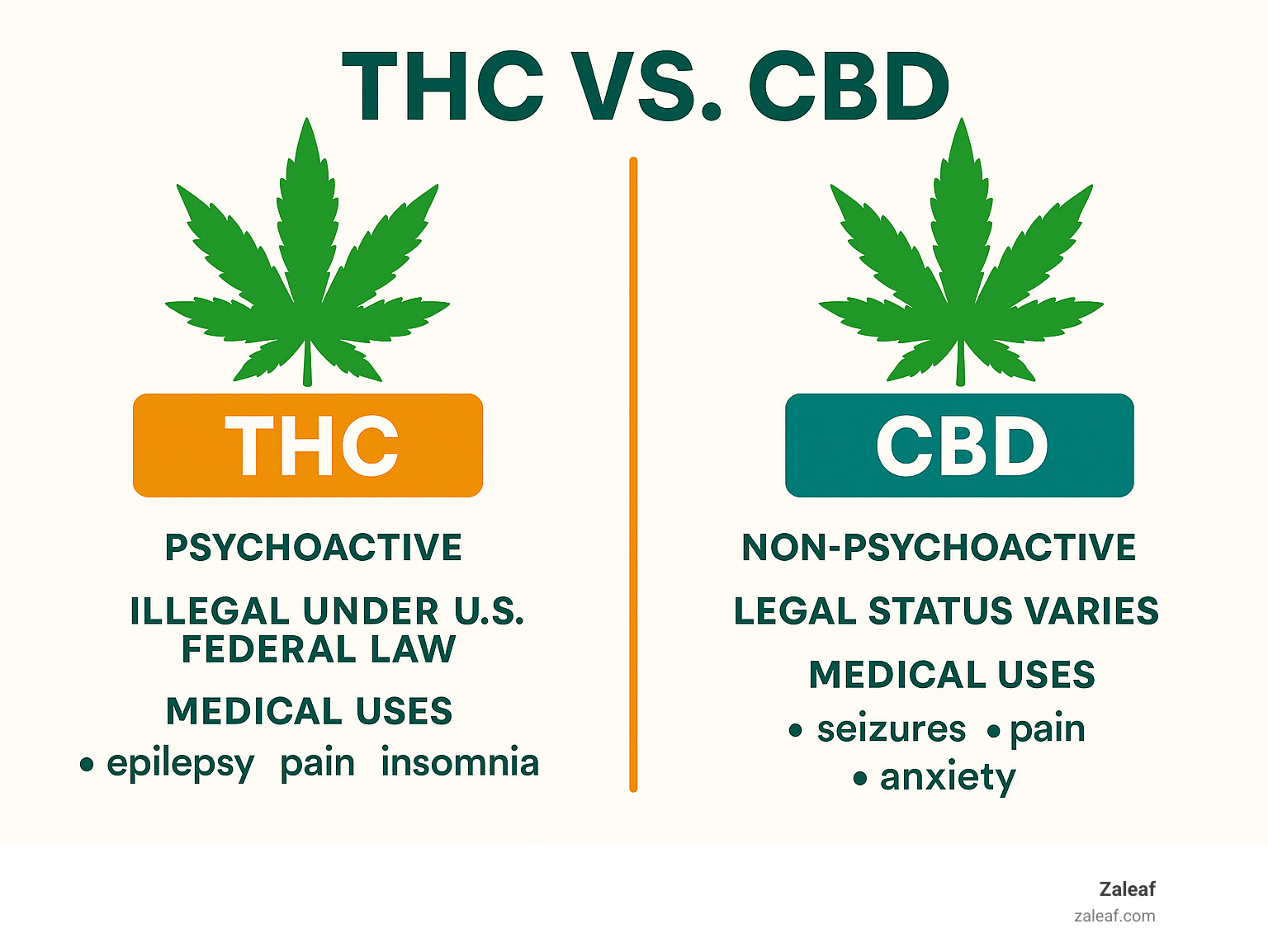 Infographic detailing the key differences between THC and CBD, including their psychoactive effects, legal status, and common medical applications - what is thc infographic 