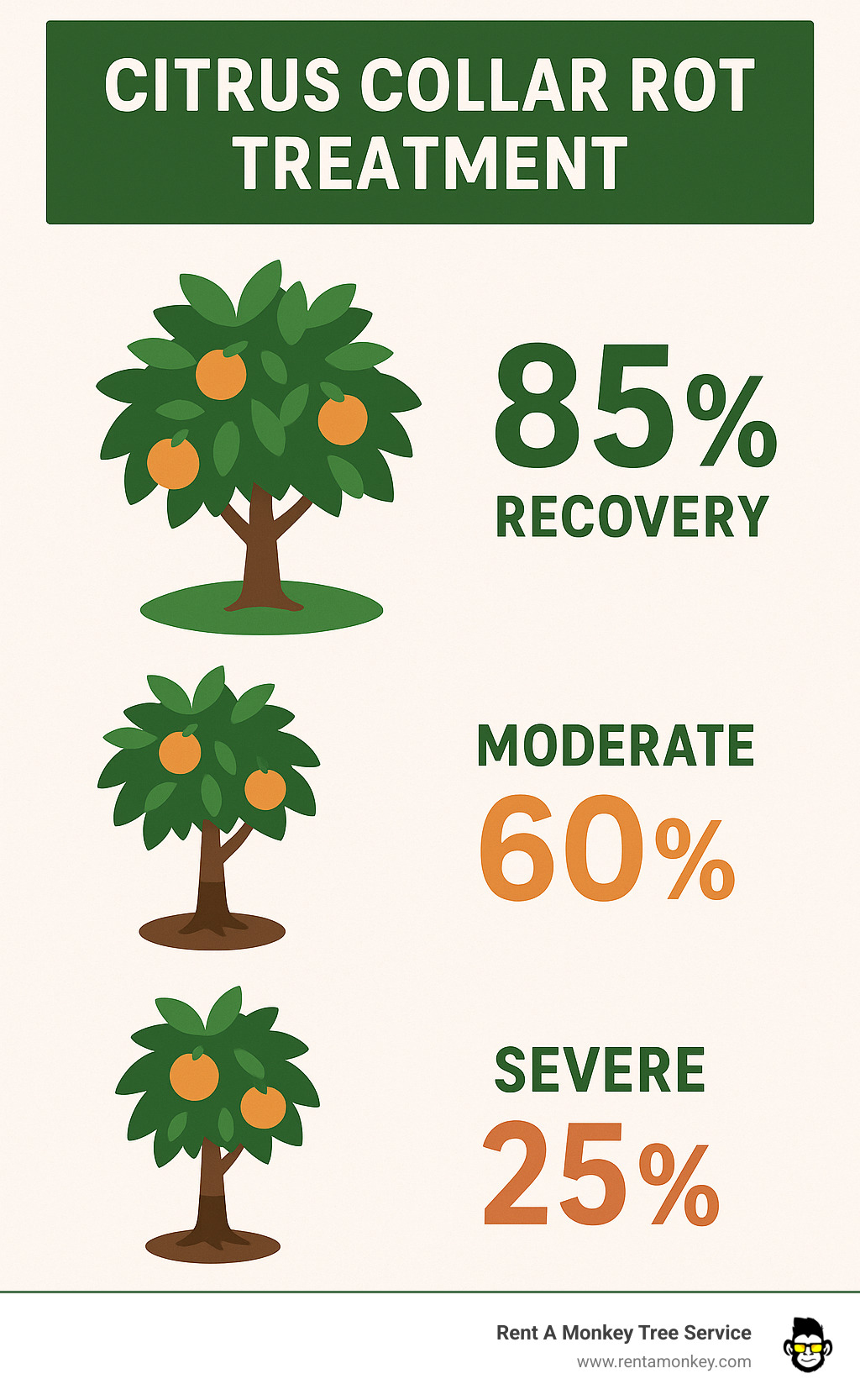 Citrus collar rot treatment success rates showing 85% recovery for early-stage infections with gum exudation only, 60% recovery for moderate infections with bark lesions up to 25% trunk circumference, and 25% recovery for severe infections with 50-75% trunk girdling - citrus collar rot treatment infographic 