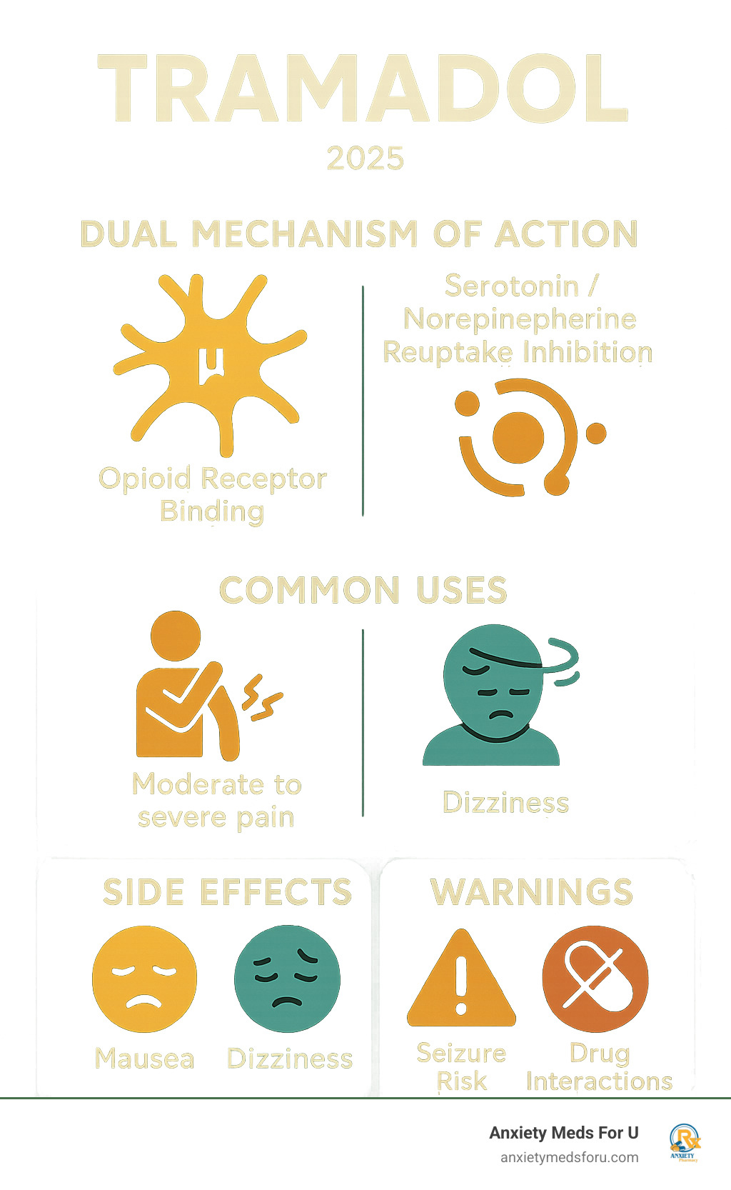 Infographic showing tramadol's dual mechanism of action with opioid receptor binding and serotonin/norepinephrine reuptake inhibition, including common uses for moderate to severe pain, typical side effects like nausea and dizziness, and serious warnings about seizure risk and drug interactions - Tramadol  infographic 