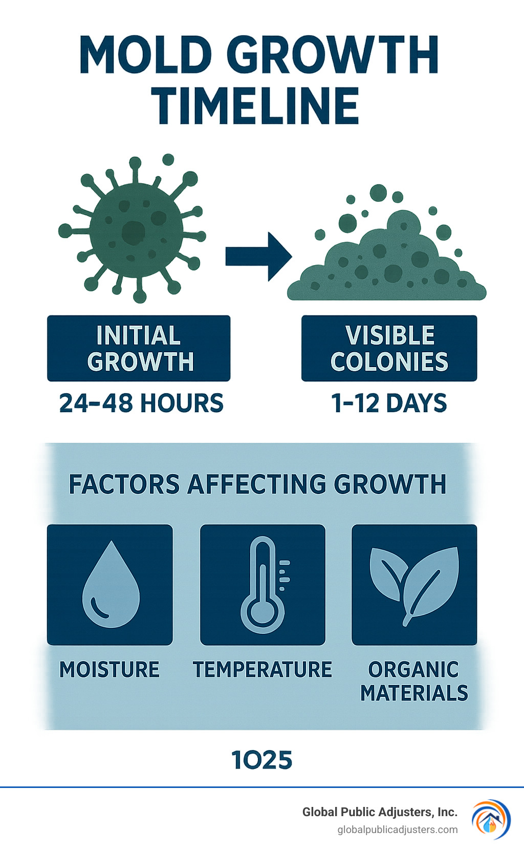 Infographic showing mold growth timeline: 24-48 hours for initial growth, 1-12 days for visible colonies, and factors affecting growth including moisture levels, temperature, and organic materials present - how to claim mold damage infographic 