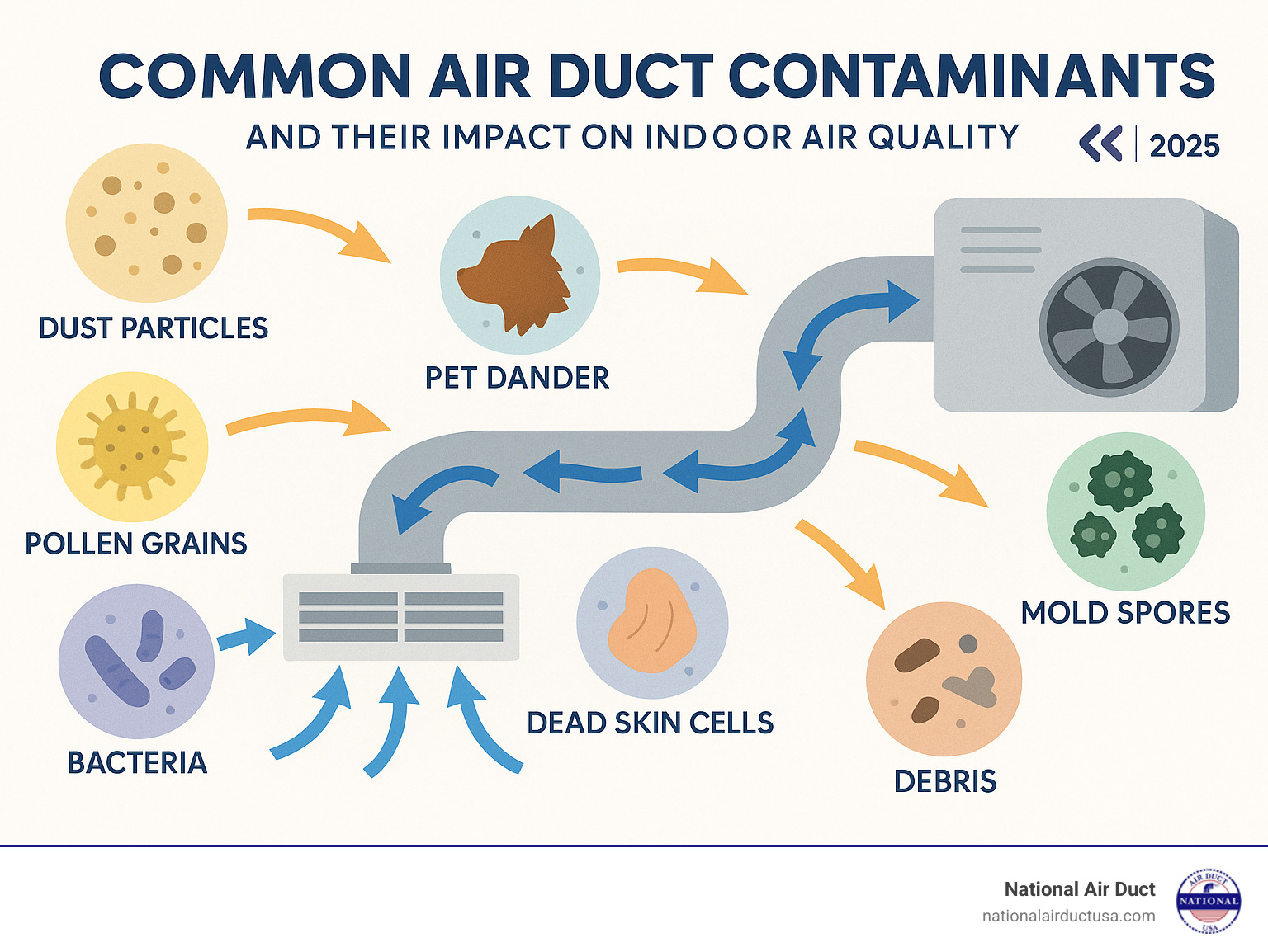 Comprehensive infographic showing common air duct contaminants including dust particles, pet dander, pollen grains, mold spores, bacteria, dead skin cells, and debris, with arrows indicating how they circulate through the HVAC system and impact indoor air quality - Air duct maintenance infographic 
