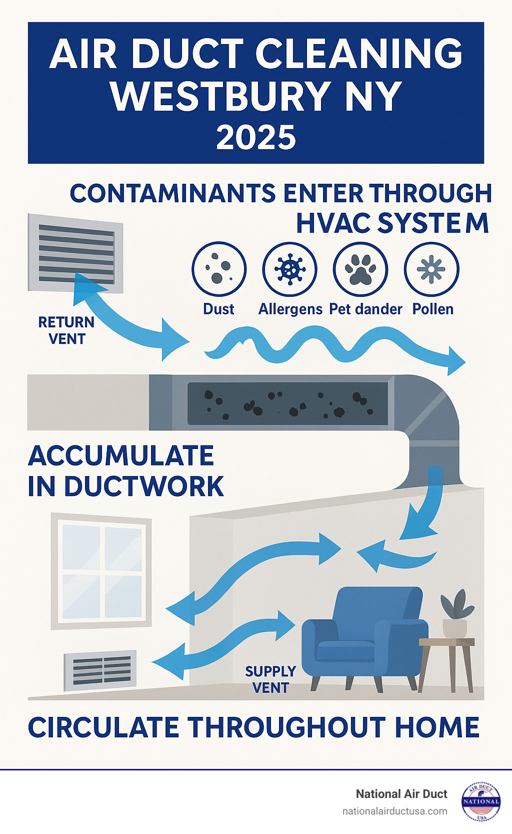 Detailed infographic showing how dust, allergens, pet dander, pollen, and other pollutants enter a home's HVAC system through return vents, accumulate in ductwork over time, and then circulate throughout living spaces when the system operates, with arrows indicating airflow patterns and contamination spread - AIR Duct Cleaning s Westbury NY  infographic 