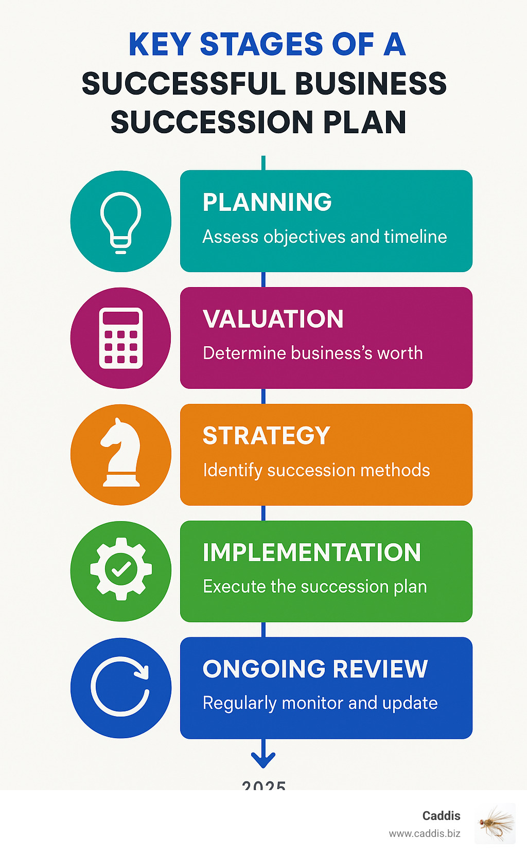 Infographic: Key Stages of a Successful Business Succession Plan, outlining planning, valuation, strategy, implementation, and ongoing review. - business succession planning consulting infographic 