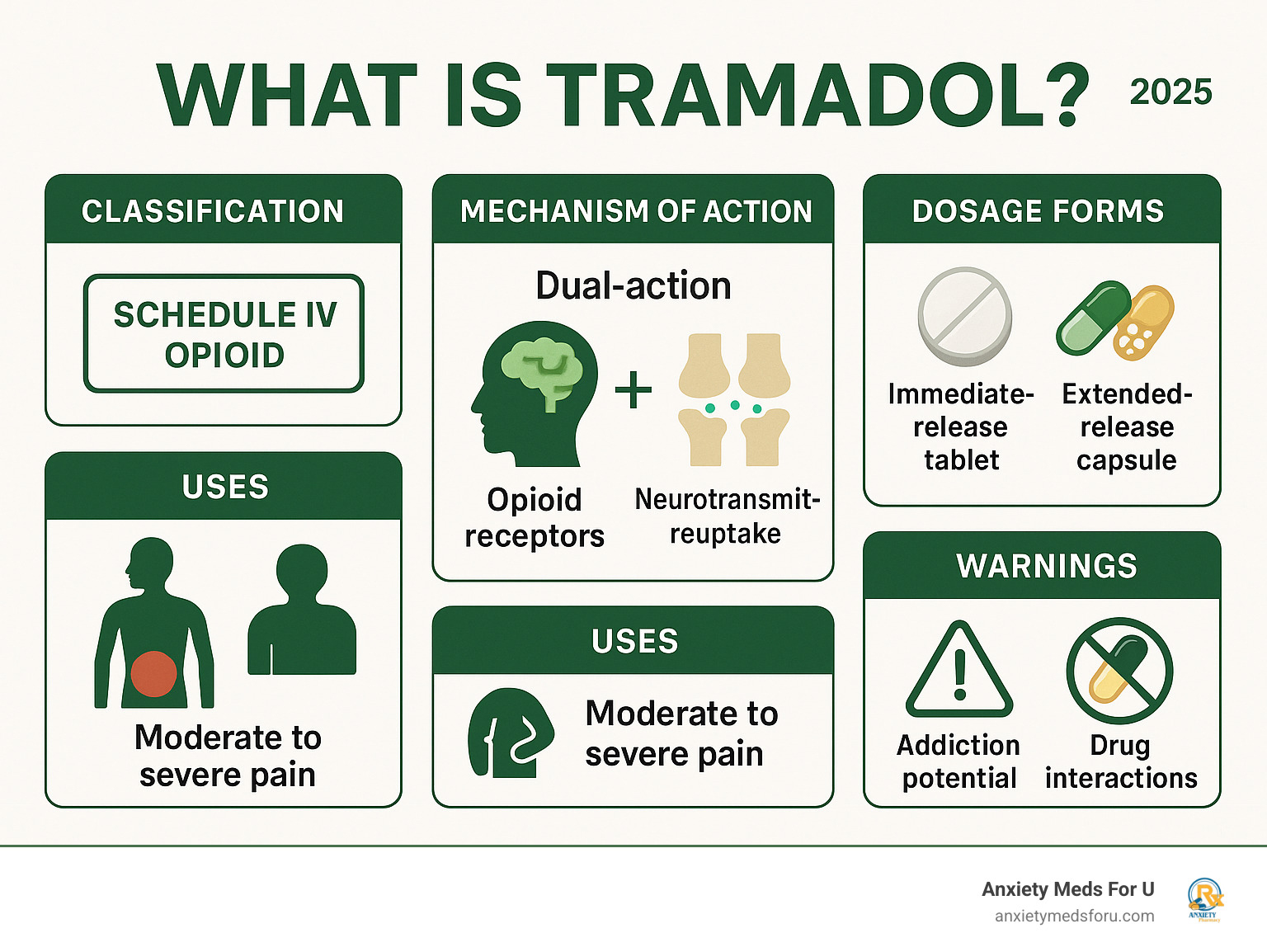 Comprehensive infographic showing tramadol's classification as a Schedule IV opioid, its dual-action mechanism affecting both opioid receptors and neurotransmitter reuptake, common dosage forms including immediate-release tablets and extended-release capsules, typical uses for moderate to severe pain, and key safety warnings about addiction potential and drug interactions - what is tramadol infographic 