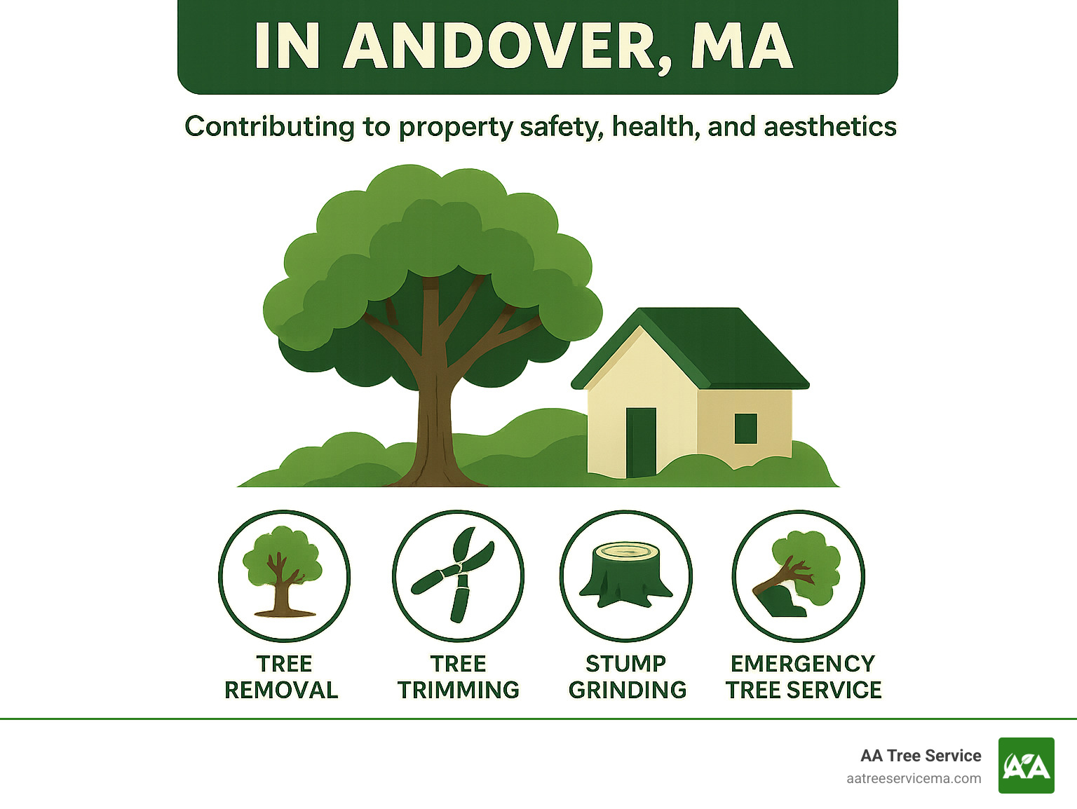 Infographic detailing the top professional tree services available in Andover, MA, including tree removal, trimming, stump grinding, and emergency services, and how they contribute to property safety, health, and aesthetics. - tree services andover infographic Infographic detailing the top professional tree services available in Andover, MA, including tree removal, trimming, stump grinding, and emergency services, and how they contribute to property safety, health, and aesthetics. - tree services andover infographic