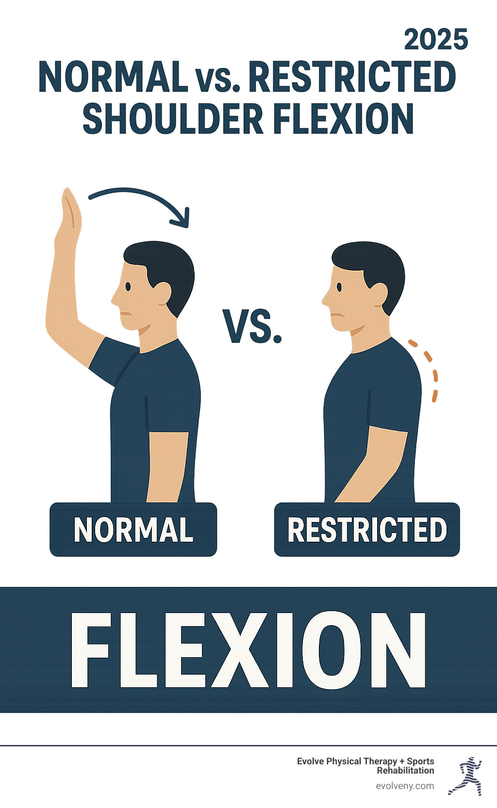 Infographic: Normal vs. Restricted Shoulder Flexion - how does mobilization with movement improve shoulder flexion infographic 