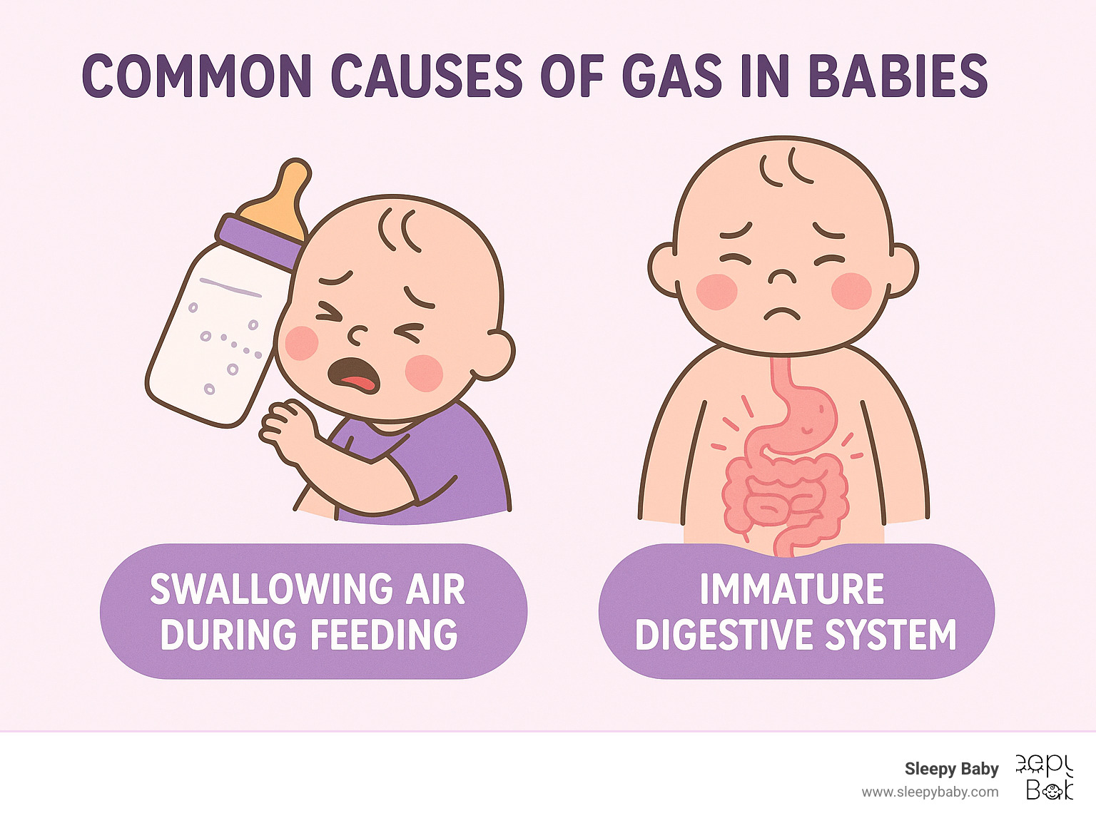 Infographic explaining the common causes of gas in babies, such as swallowing air during feeding and an immature digestive system - simethicone drops reviews infographic 