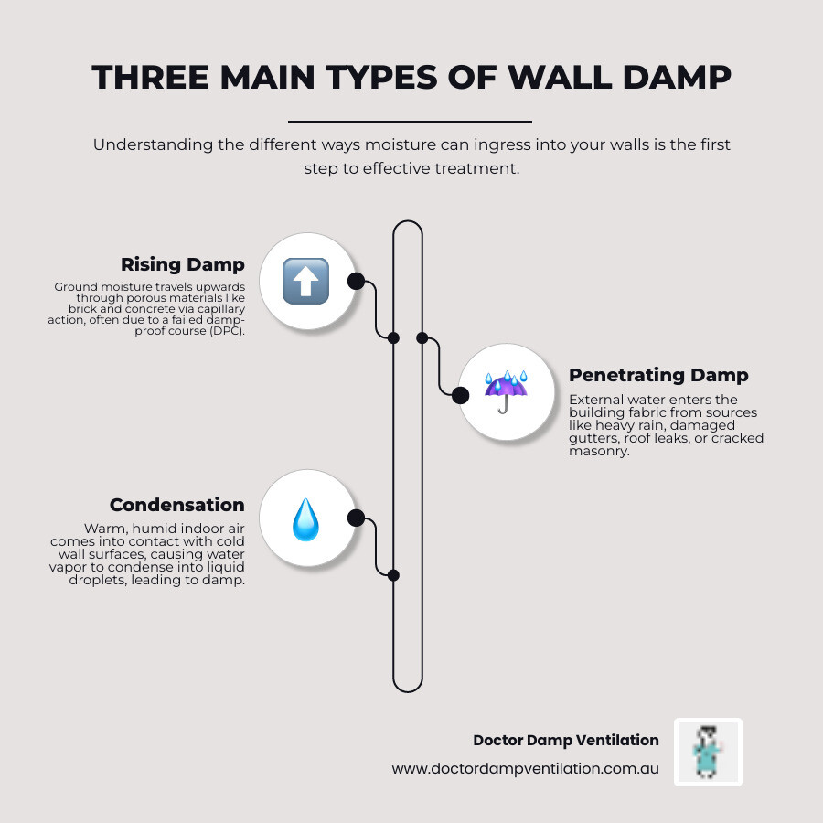Infographic showing the three main types of wall moisture: Rising damp from ground water moving up through porous materials like brick and concrete, Penetrating damp from external water sources like rain and leaks entering through cracks or damaged areas, and Condensation from humid indoor air meeting cold wall surfaces creating water droplets - moisture in walls infographic infographic-line-3-steps-neat_beige