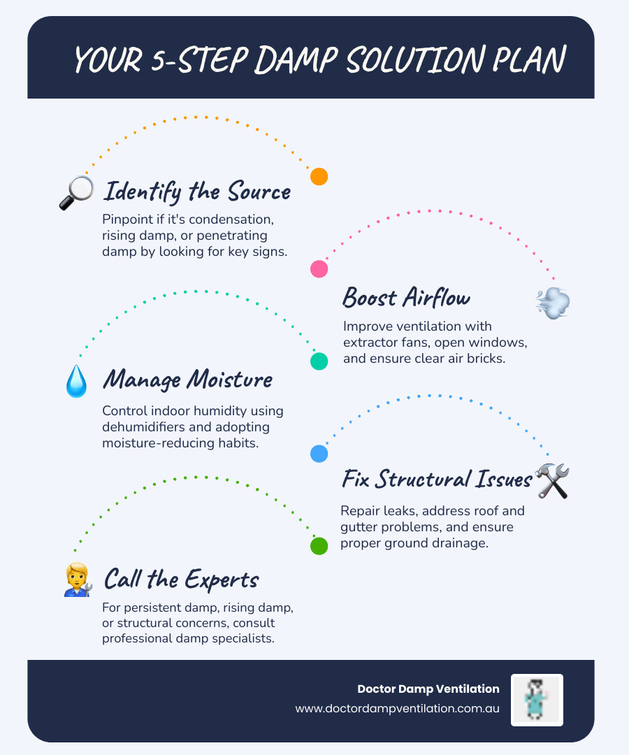 Infographic illustrating the process of addressing damp problems, from identifying common signs like musty smells and mould, to initial DIY steps such as improving ventilation and using dehumidifiers, and when to seek professional help for persistent issues like rising damp or penetrating damp, specifically relevant to homes in Sydney's Northern Beaches, Eastern Suburbs, Inner West, and North Shore. - damp problem solution infographic infographic-line-5-steps-blues-accent_colors