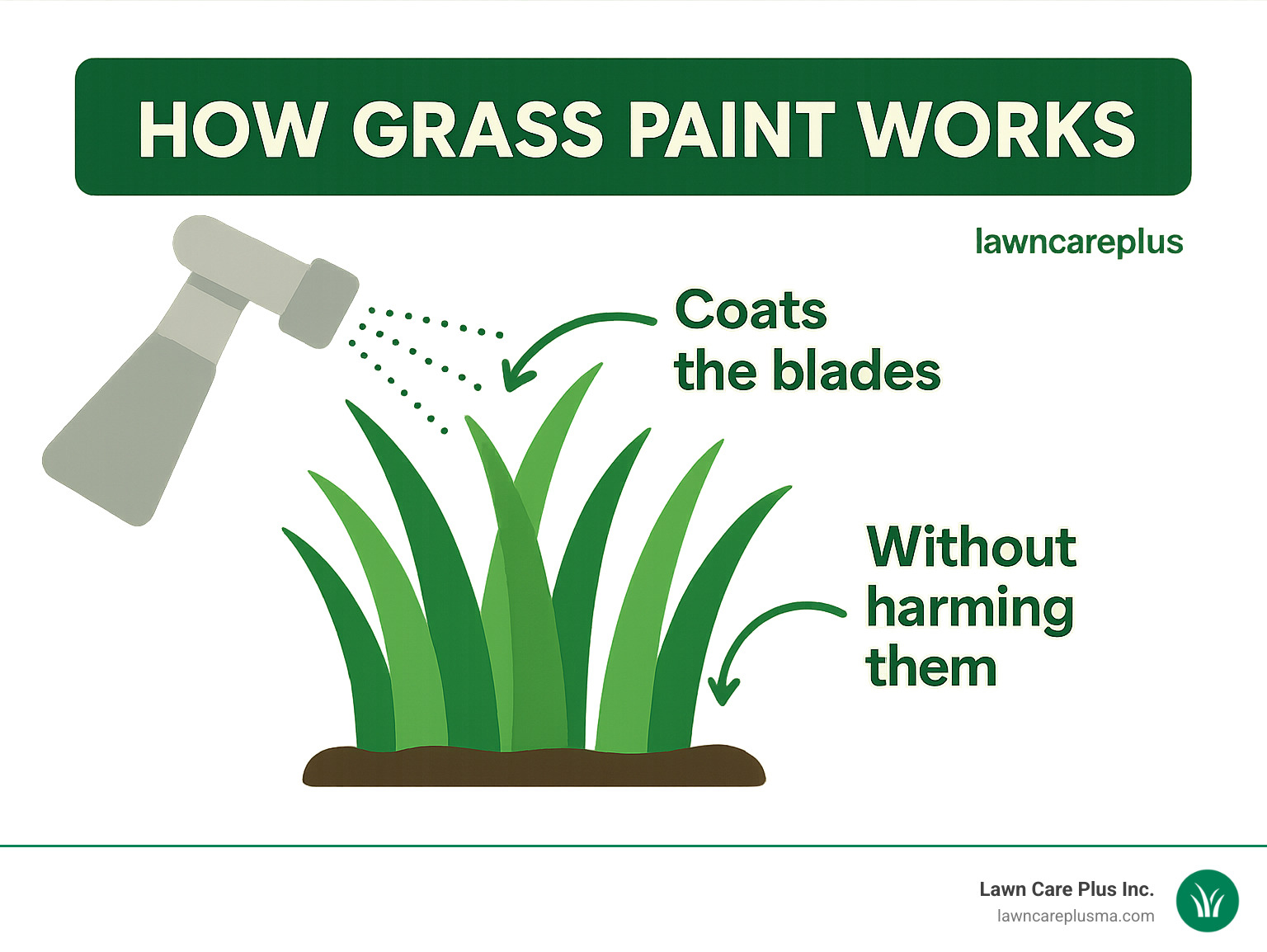 infographic explaining how grass paint coats the blades without harming them - grass spray infographic 