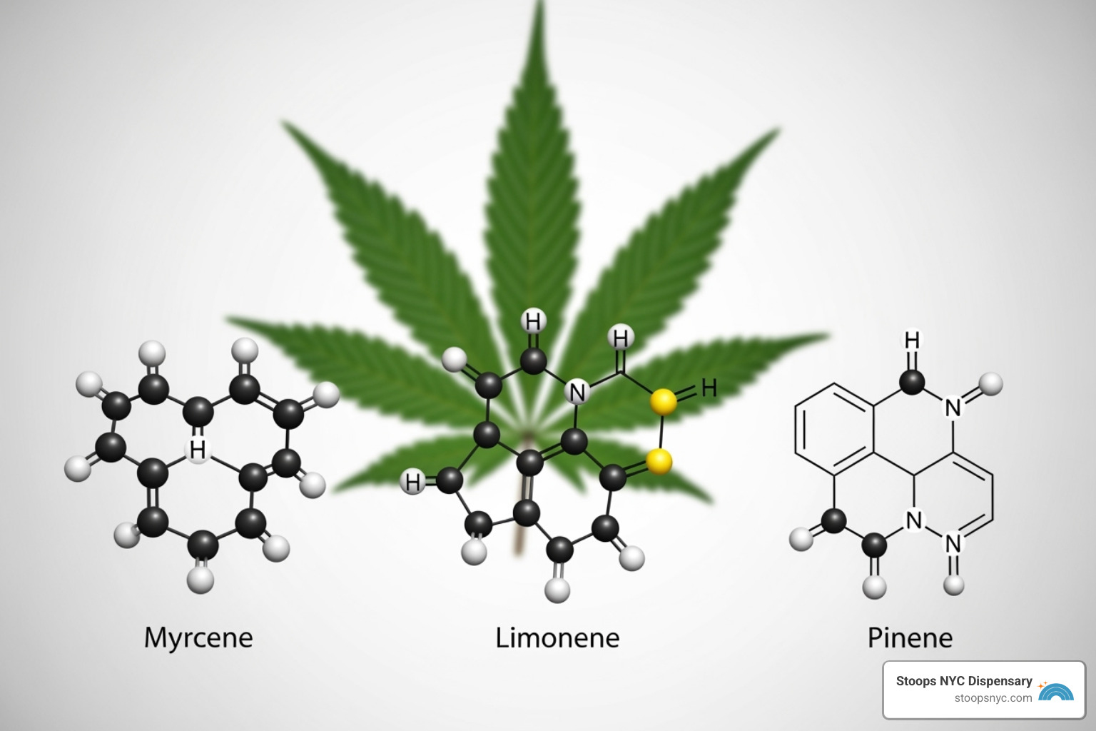 cannabis terpenes molecules - fast acting gummies