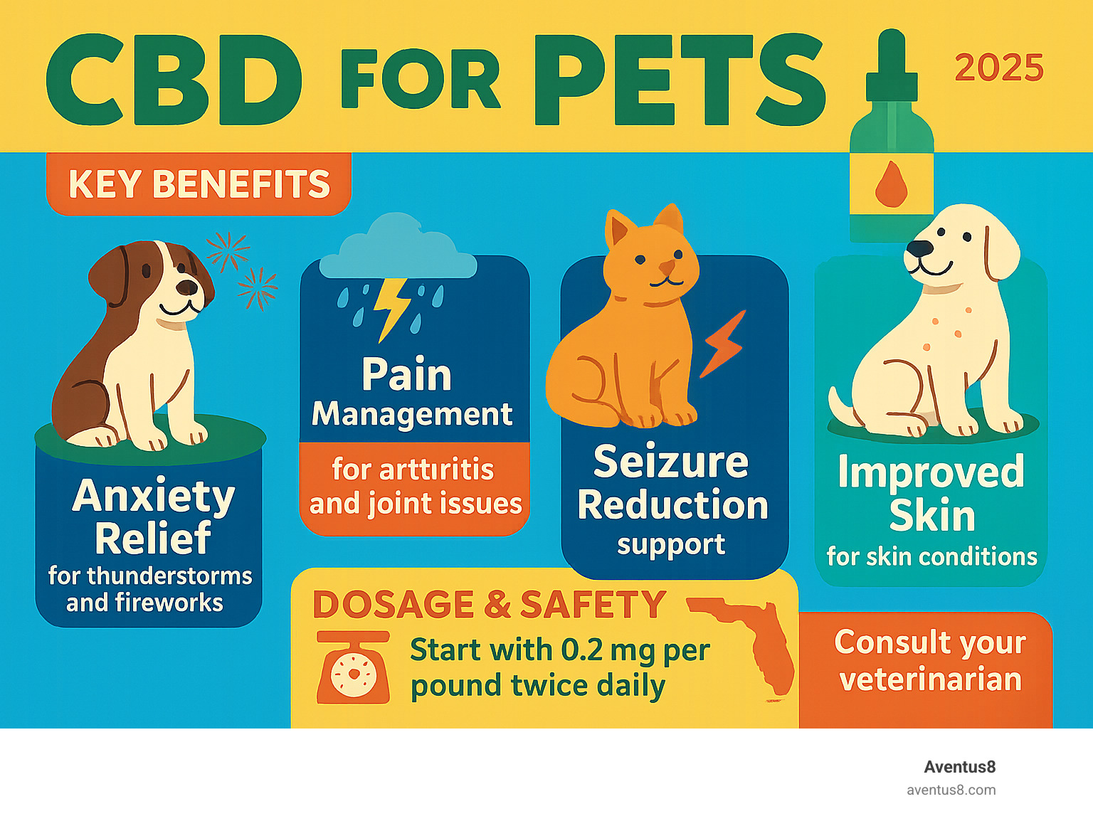 Infographic showing the key benefits of CBD for pets including anxiety relief from thunderstorms and fireworks, pain management for arthritis and joint issues, seizure reduction support, and skin condition improvement, with dosage guidelines and safety reminders for Hollywood FL pet owners - cbd for pets infographic 