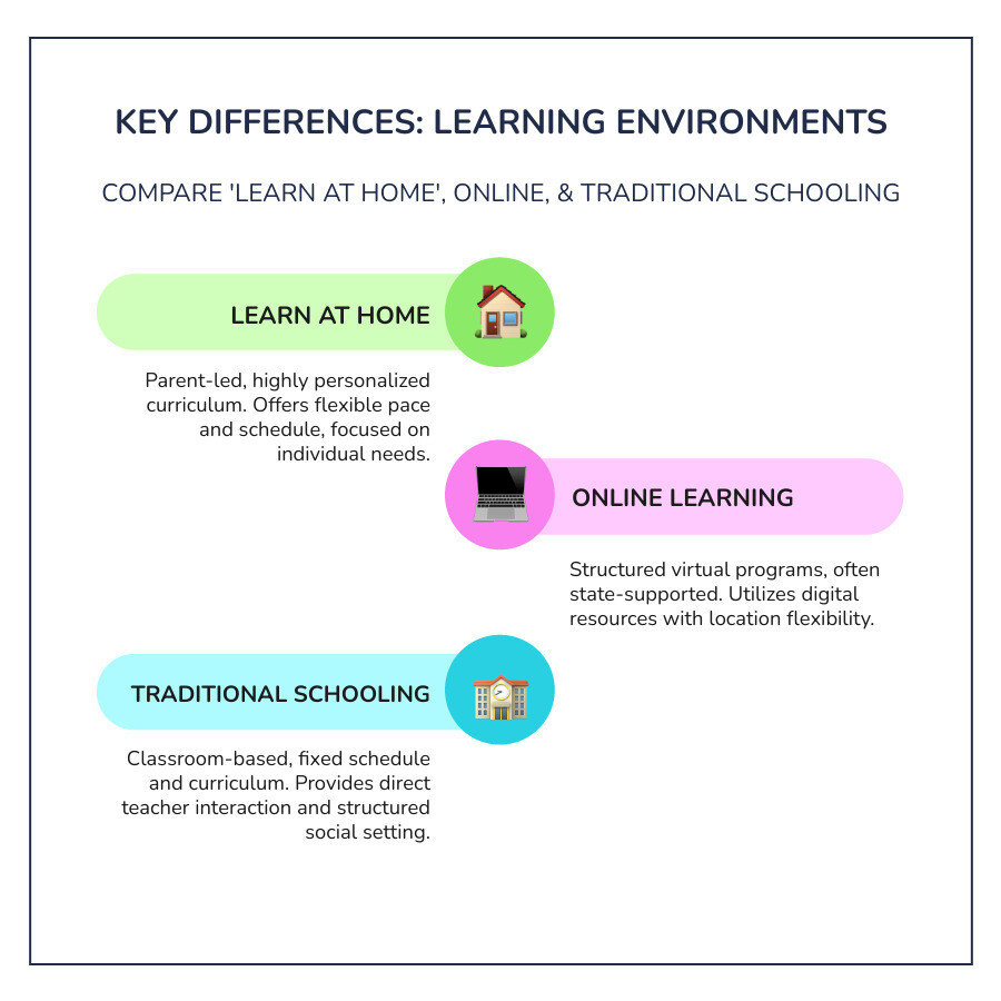 Infographic on learning at home vs. traditional schooling - learn at home infographic infographic-line-3-steps-colors