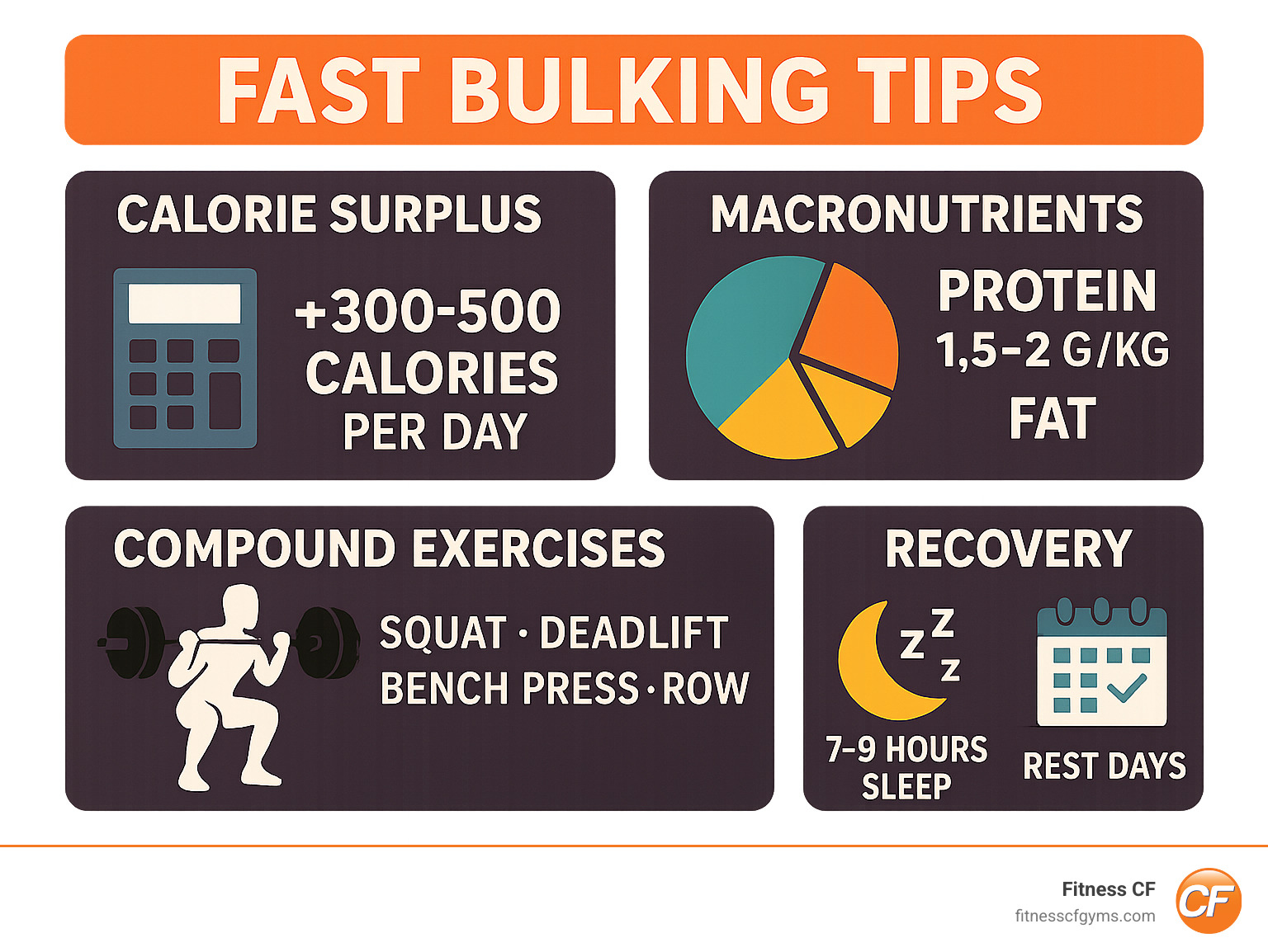 Infographic showing the complete bulking cycle including calorie surplus calculation, optimal macronutrient ratios for muscle gain, compound exercise selection, and recovery timeline with sleep and rest day recommendations - fast bulking tips infographic 