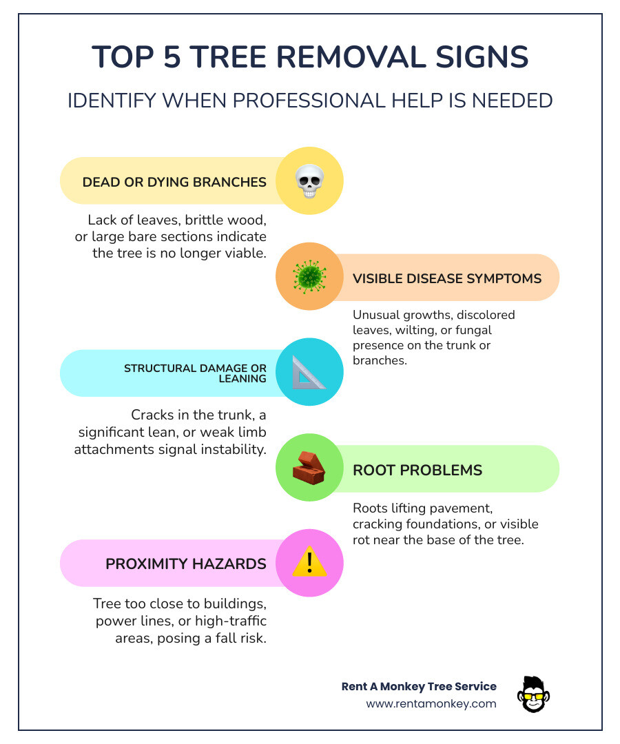 Comprehensive infographic showing the top 5 warning signs that indicate a tree needs professional removal: dead or dying branches, visible disease symptoms like browning leaves, structural damage or leaning, root problems affecting foundations, and proximity hazards to buildings or power lines - draper tree removal infographic infographic-line-5-steps-colors