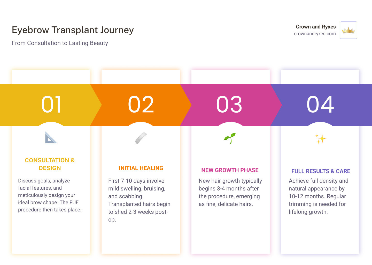 Comprehensive infographic showing eyebrow transplant timeline from consultation through 12-month results, including procedure steps, recovery phases, hair growth cycle stages, and before/after comparison photos - hair transplant for eyebrows infographic pillar-4-steps