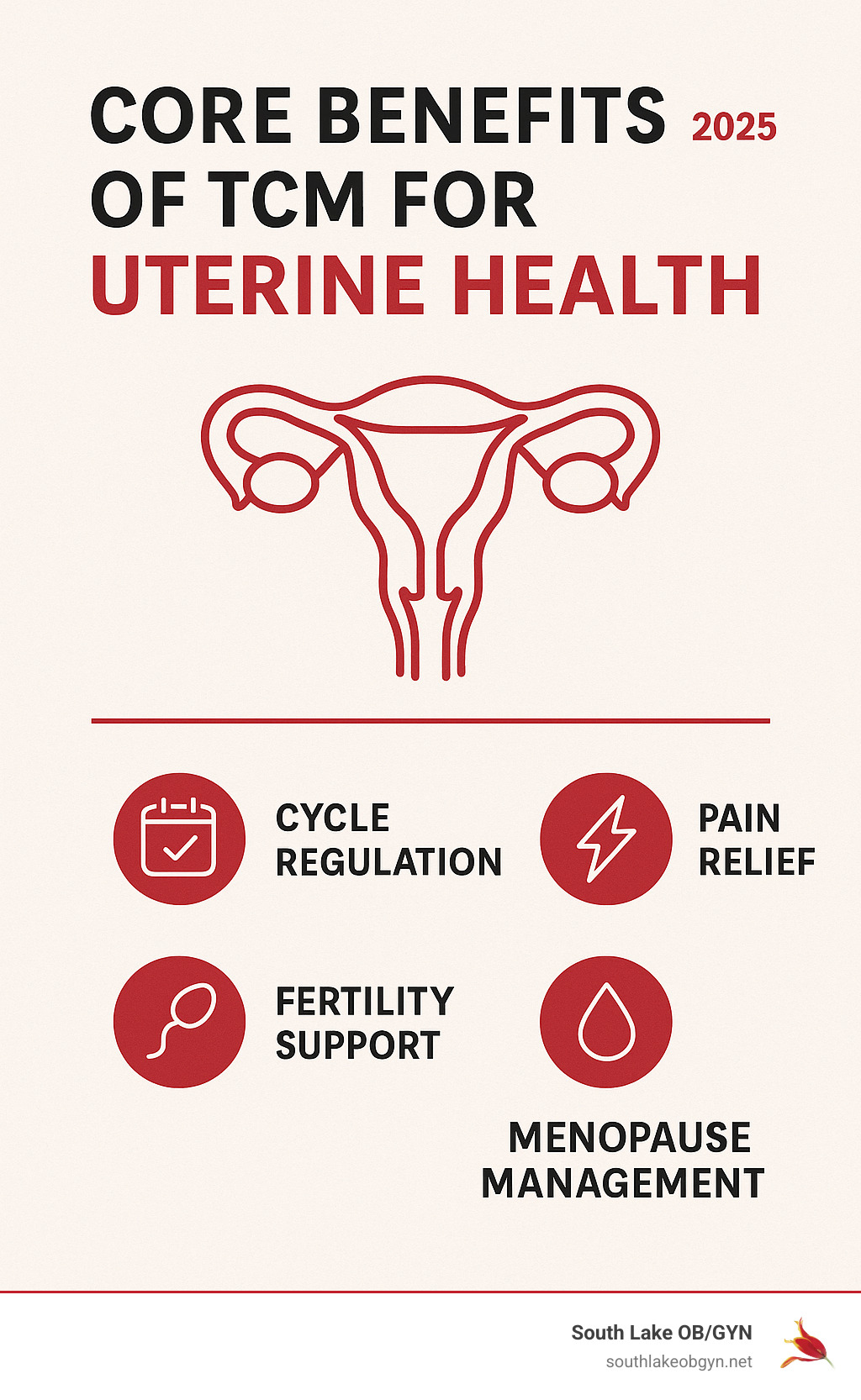 Core Benefits of TCM for Uterine Health - chinese herbs for uterine health infographic 