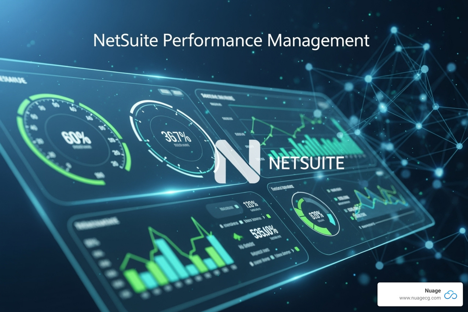 APM Performance Health Dashboard - NetSuite performance management