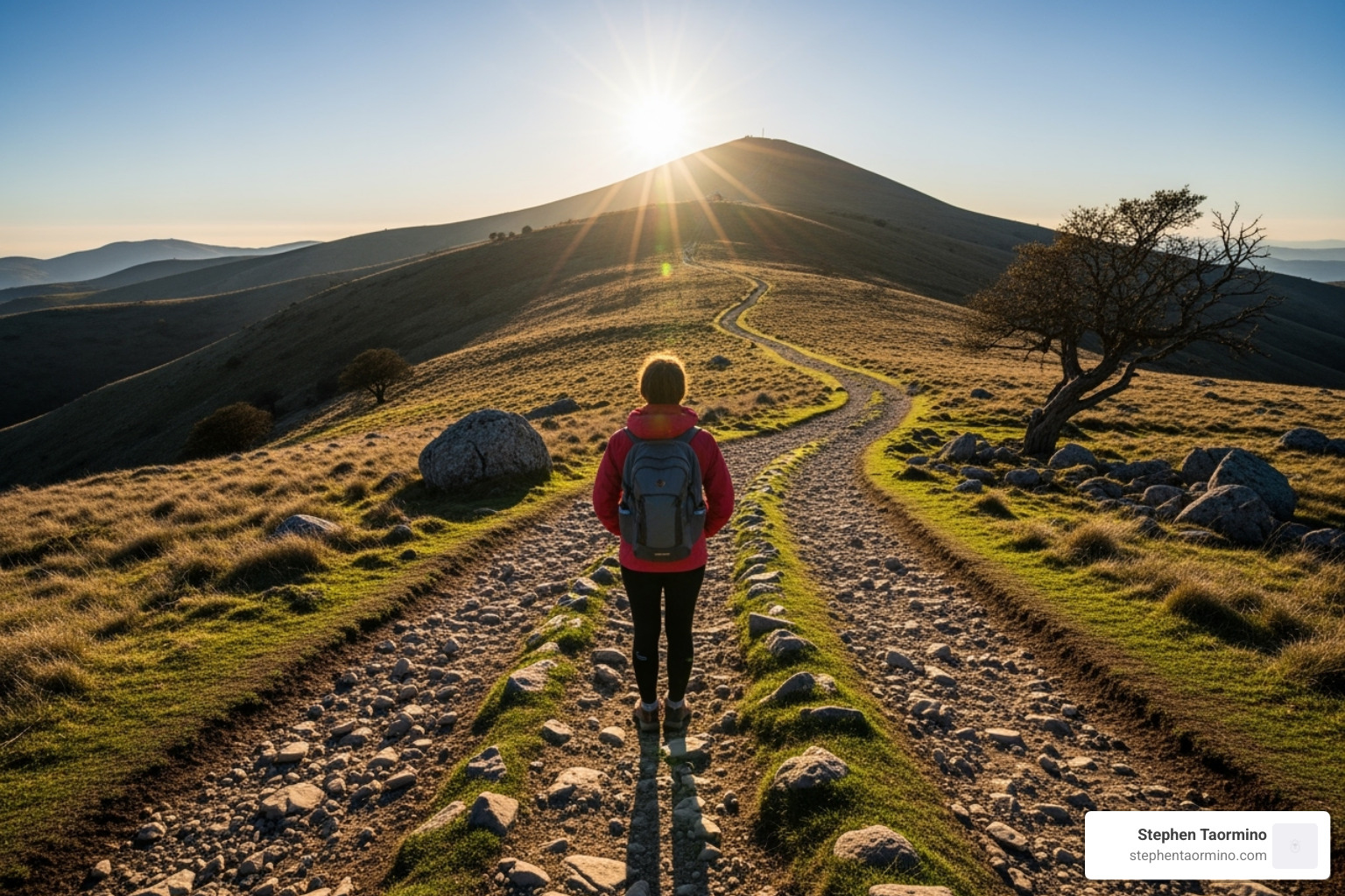 Simple Story Arc for Business - business storytelling speaker